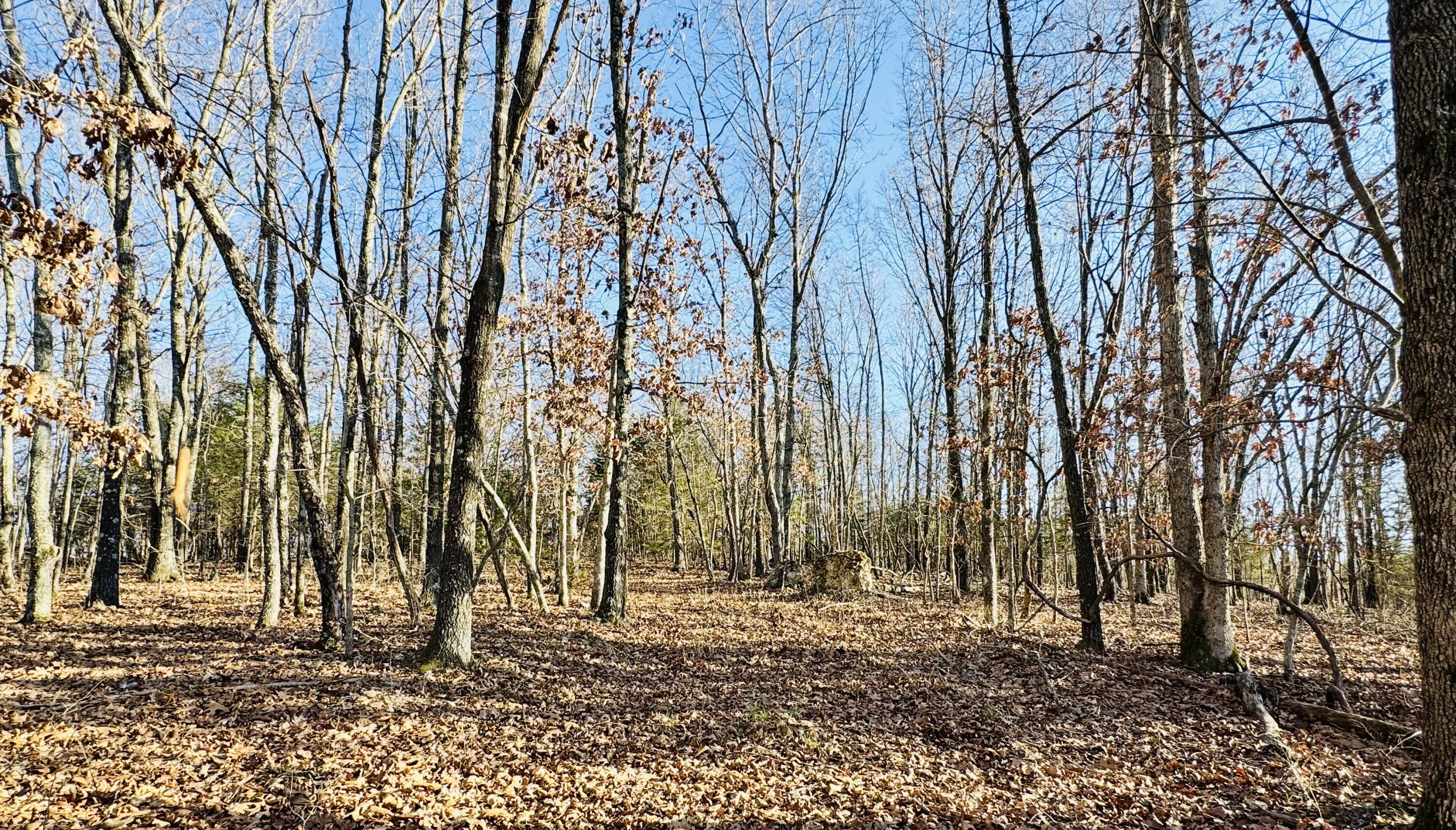 795 Anthony Road Property Photo 91