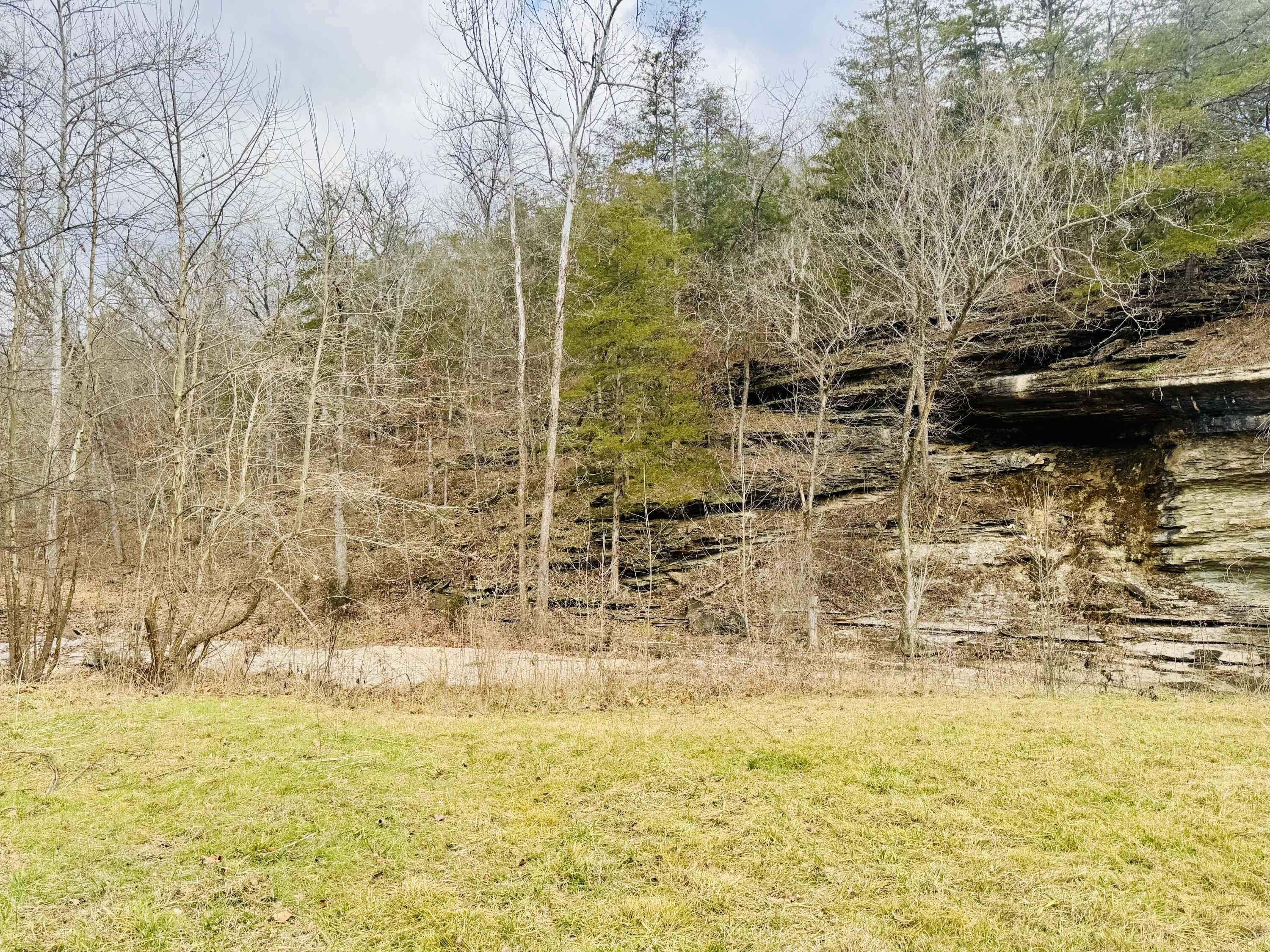 795 Anthony Road Property Photo 113