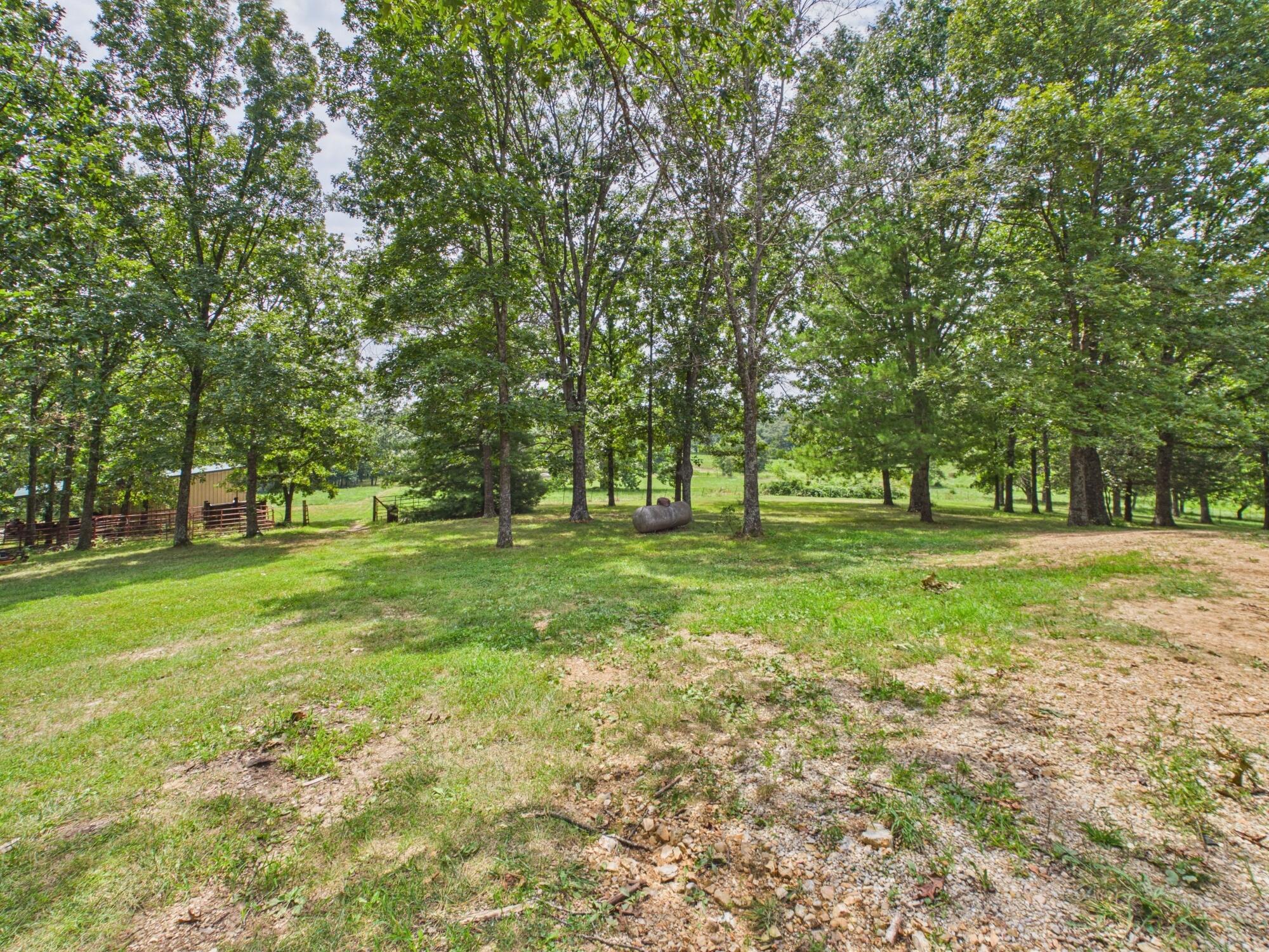 12283 Stave Mill Road Property Photo 111