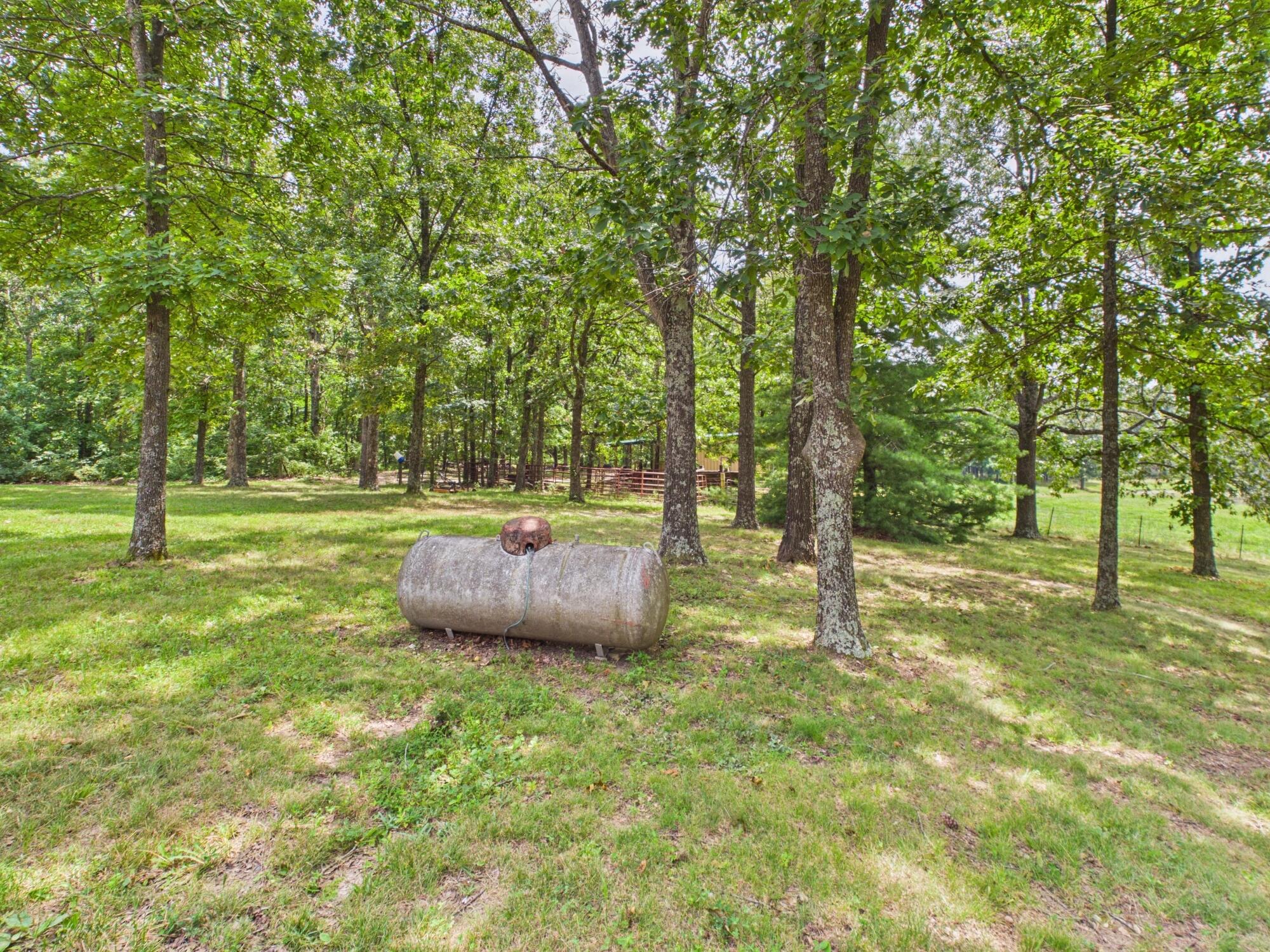 12283 Stave Mill Road Property Photo 114