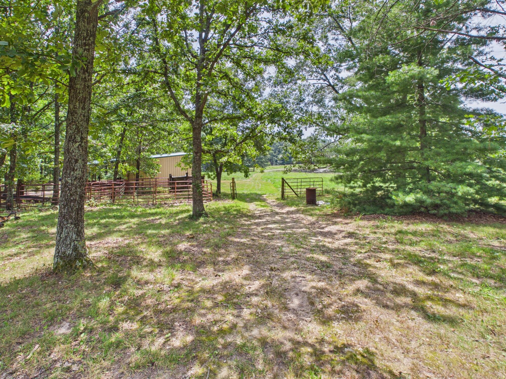12283 Stave Mill Road Property Photo 115