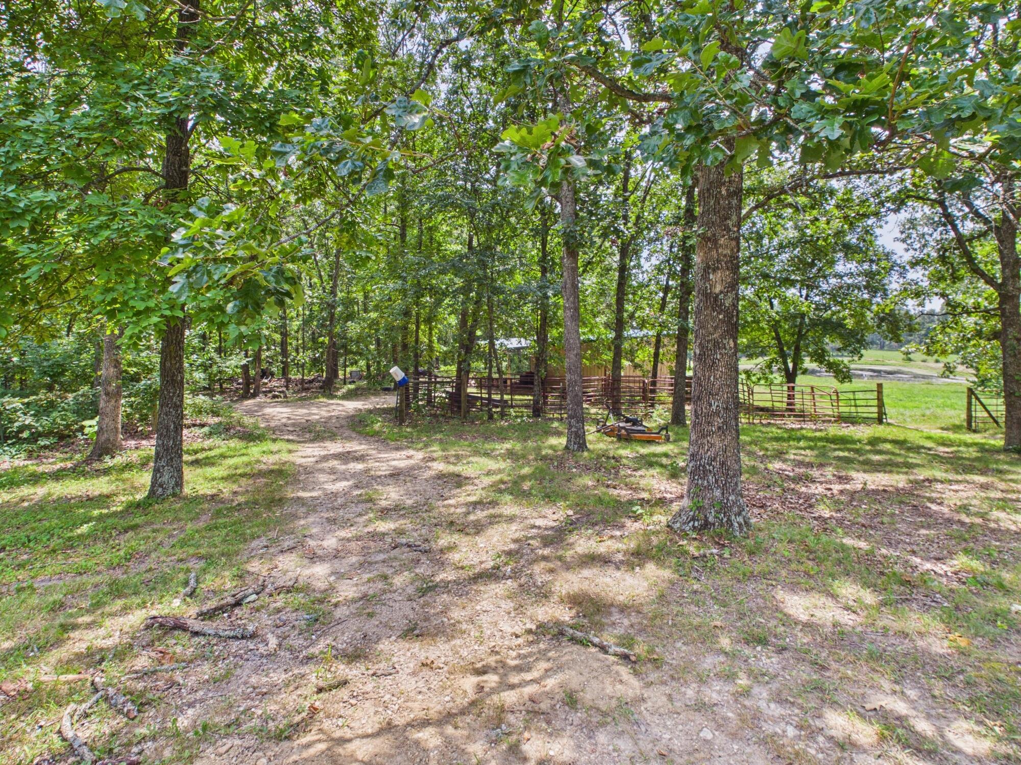 12283 Stave Mill Road Property Photo 116