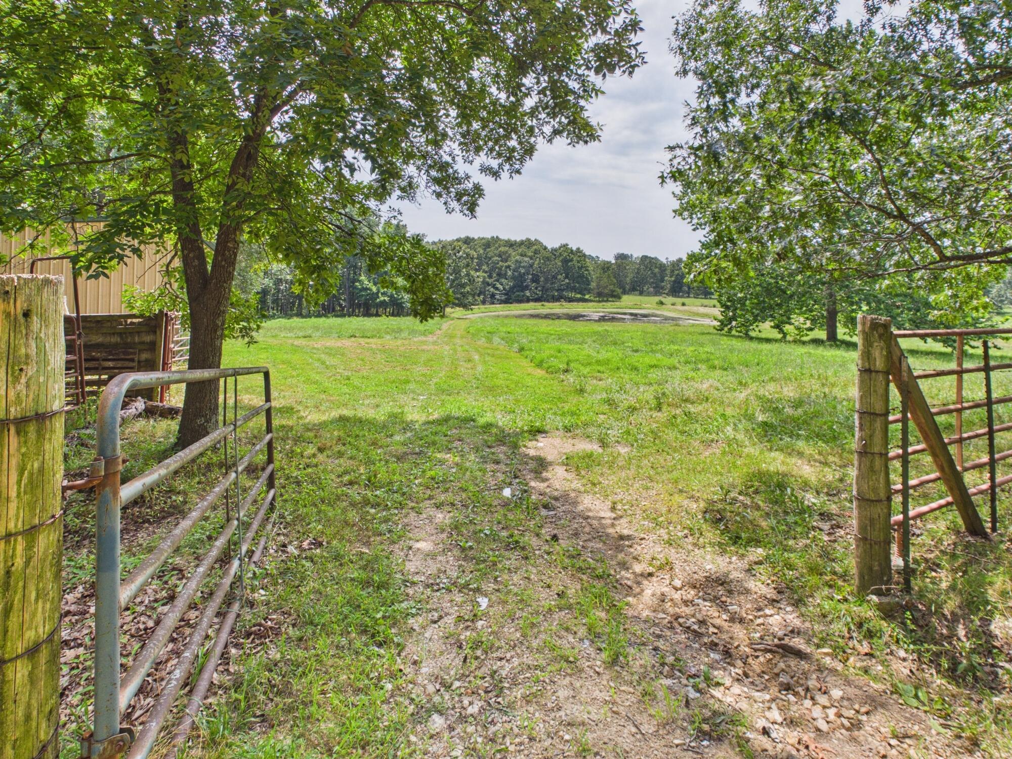 12283 Stave Mill Road Property Photo 121