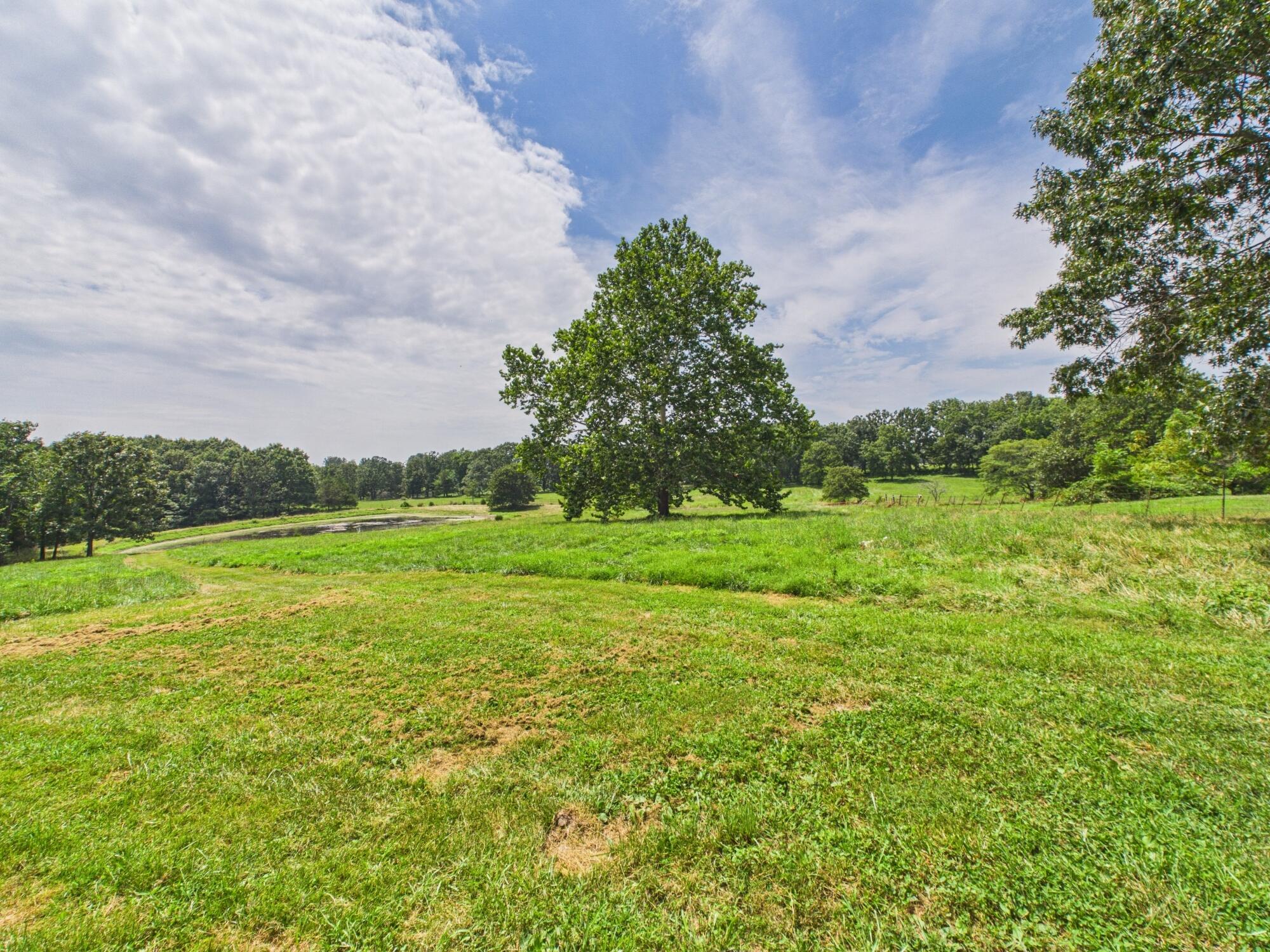 12283 Stave Mill Road Property Photo 124
