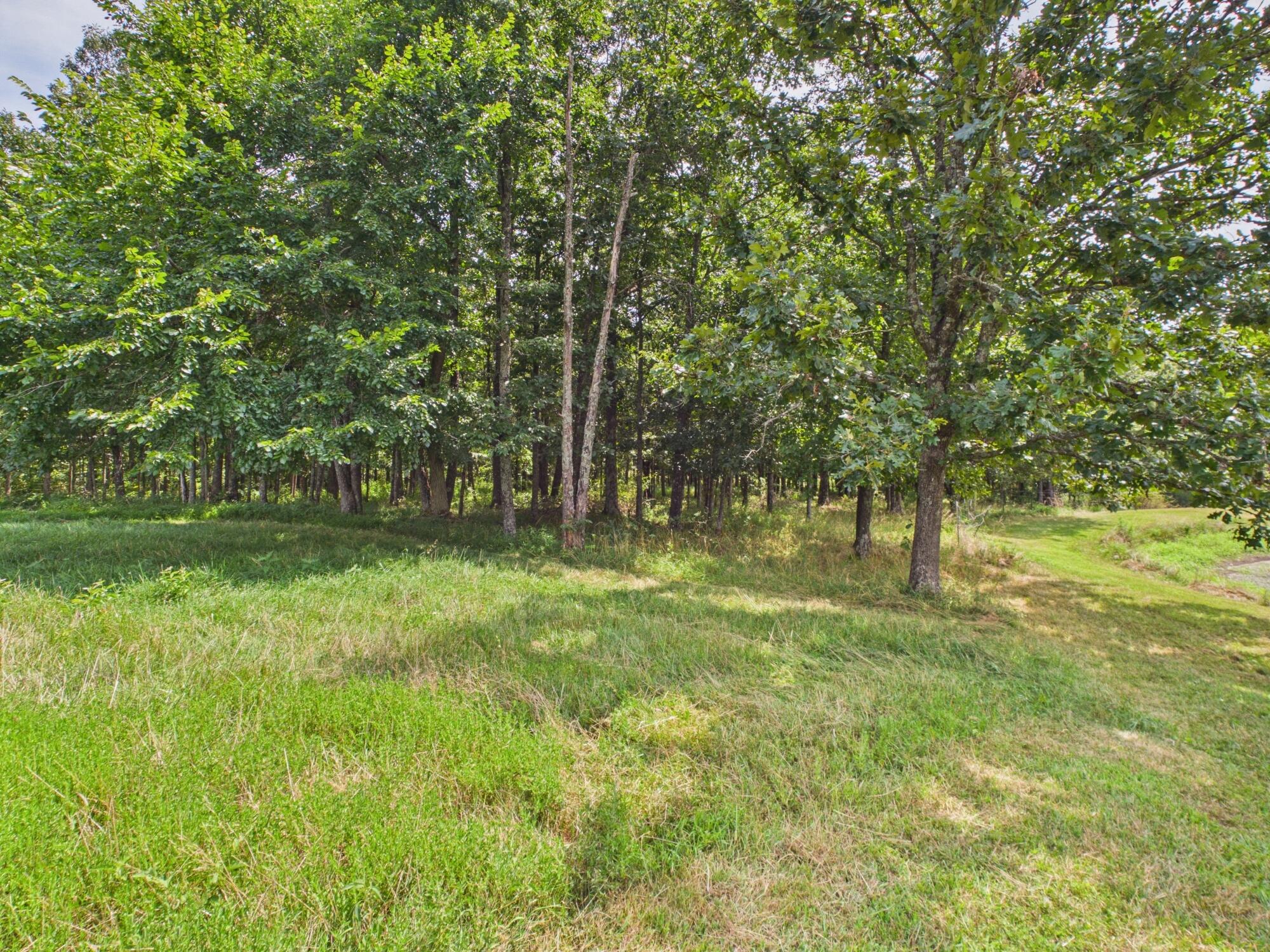 12283 Stave Mill Road Property Photo 131