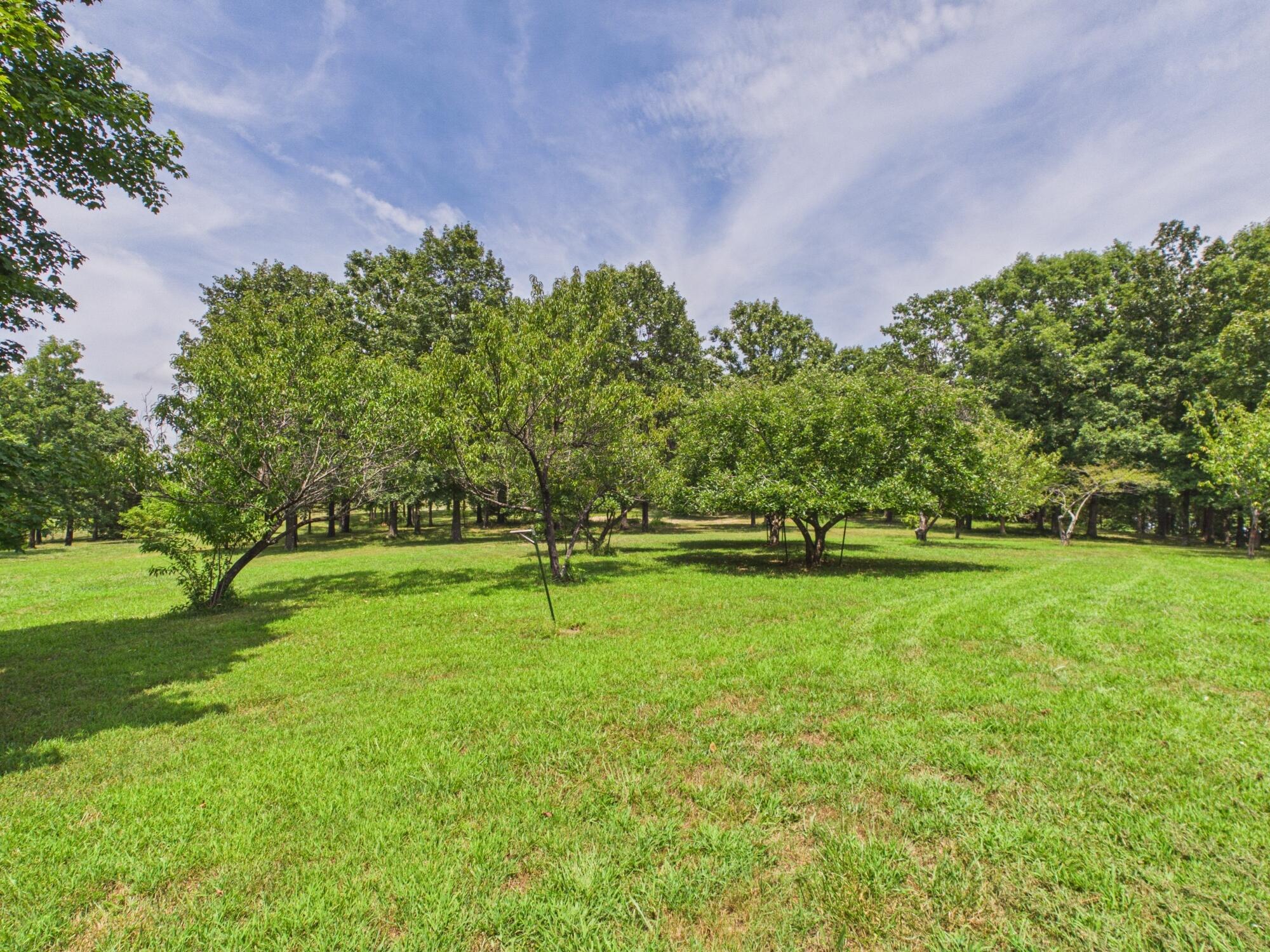 12283 Stave Mill Road Property Photo 140