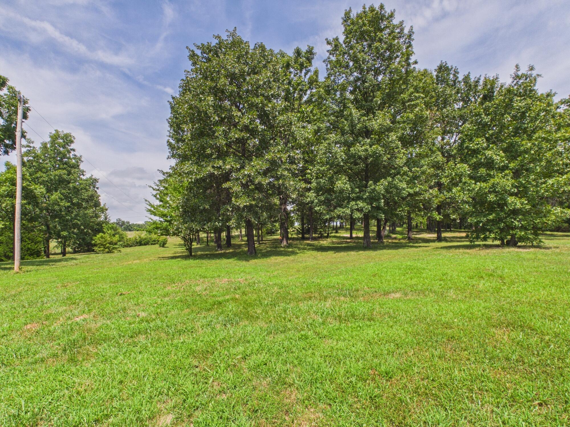 12283 Stave Mill Road Property Photo 142