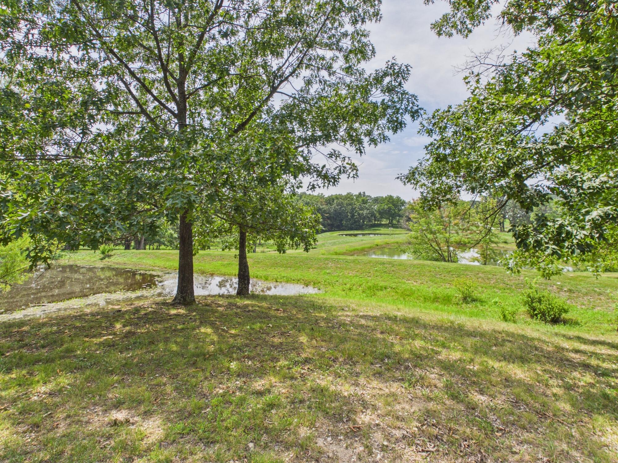 12283 Stave Mill Road Property Photo 143