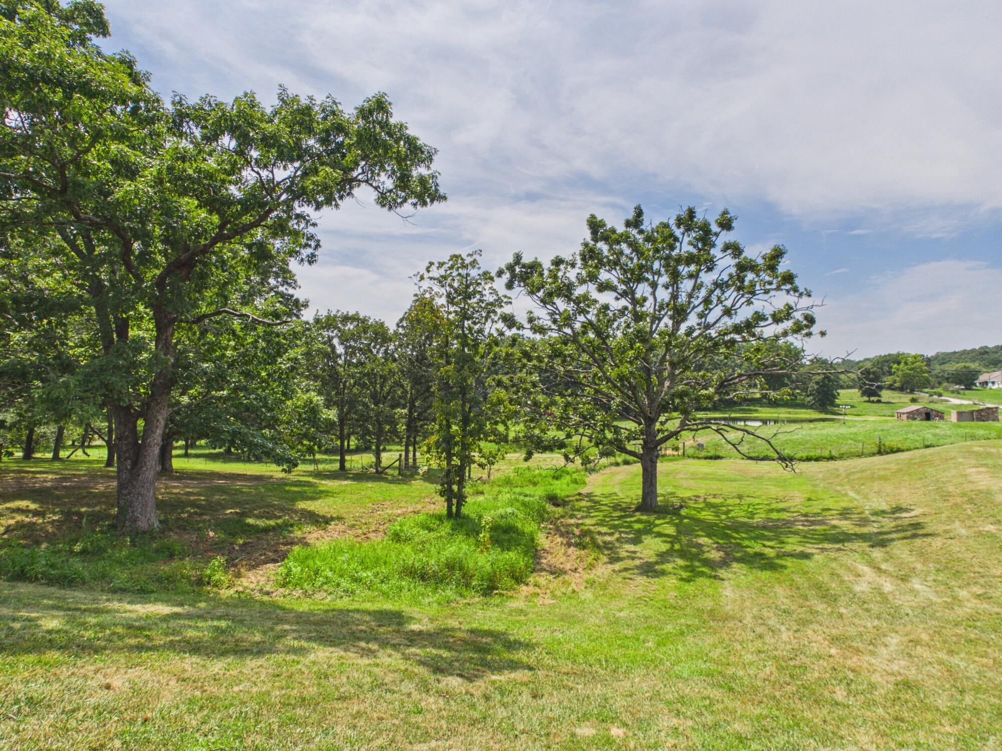 12283 Stave Mill Road Property Photo 146
