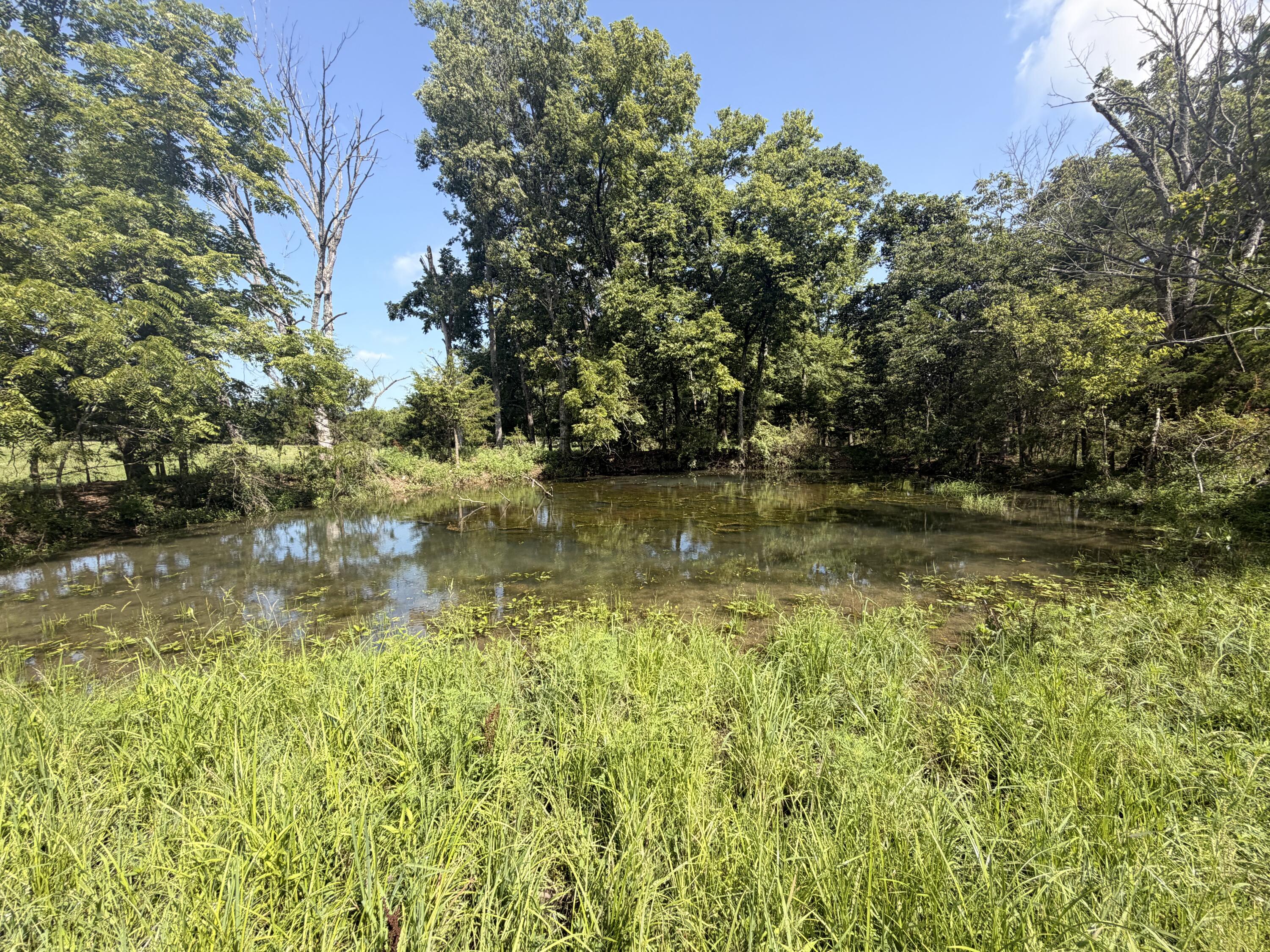 4710 State Route A Property Photo 6