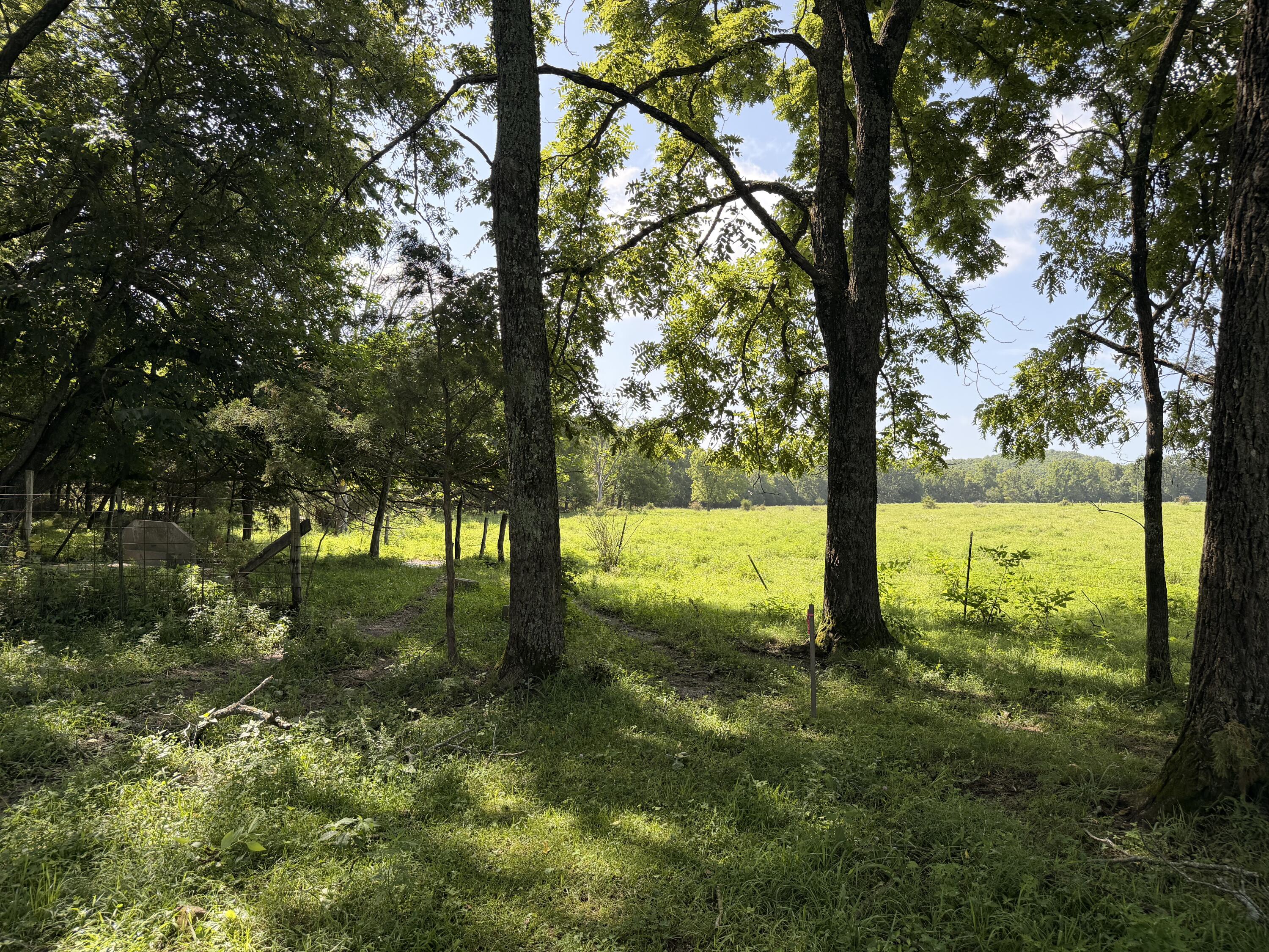 4710 State Route A Property Photo 9