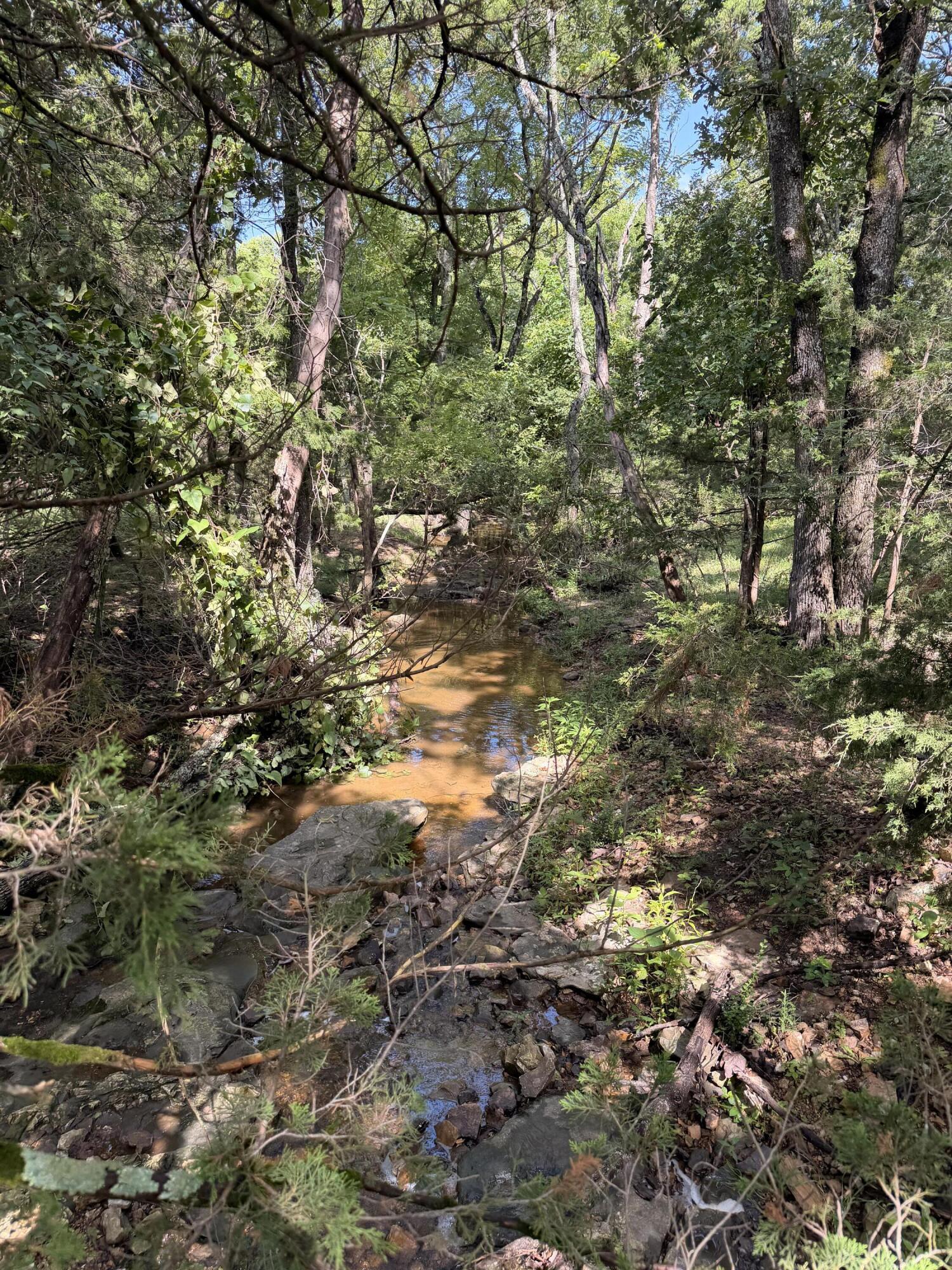 4710 State Route A Property Photo 13