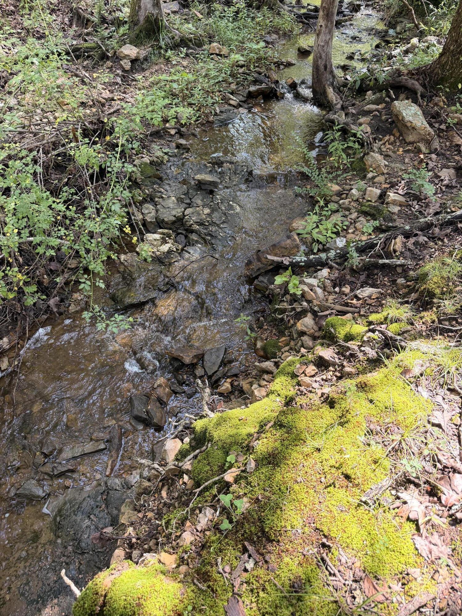 4710 State Route A Property Photo 14