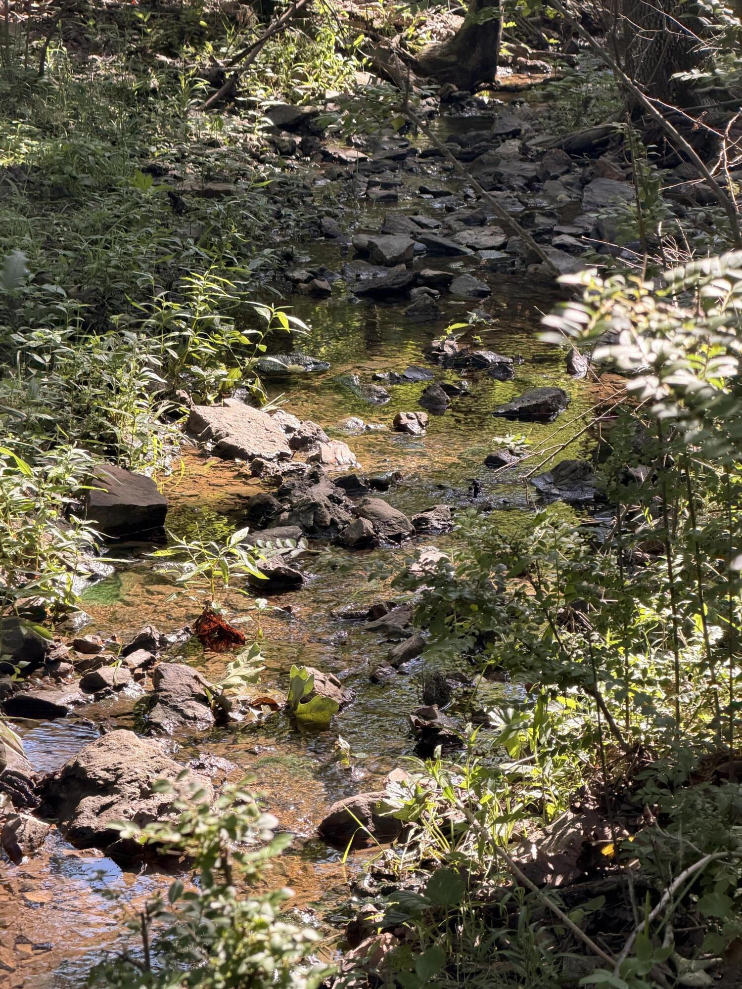 4710 State Route A Property Photo 17