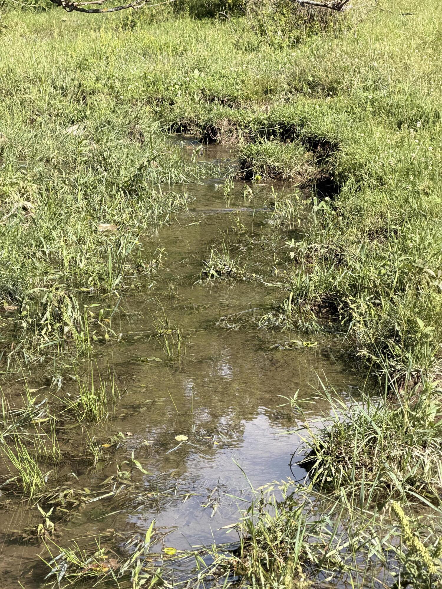 4710 State Route A Property Photo 18