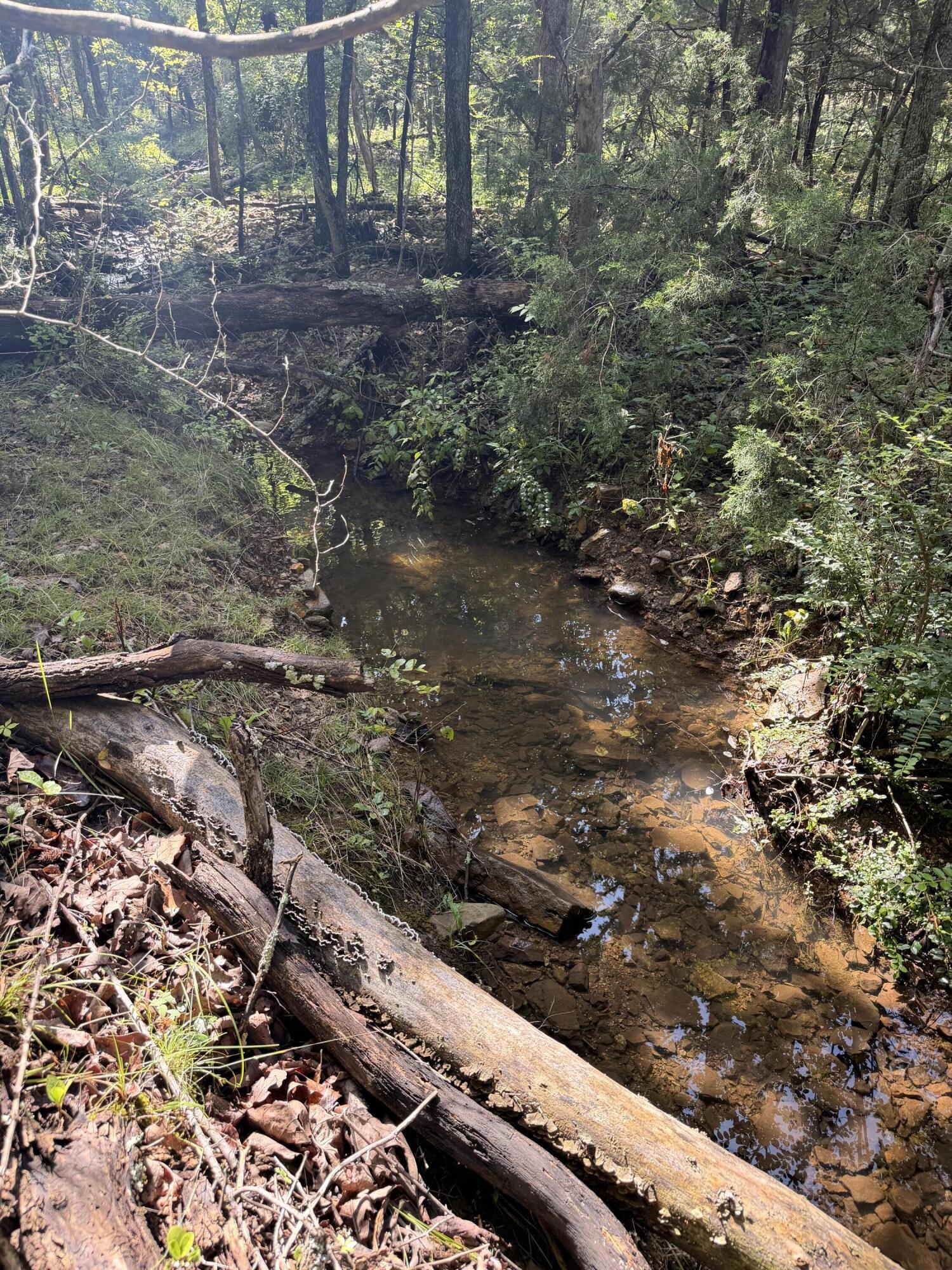 4710 State Route A Property Photo 20