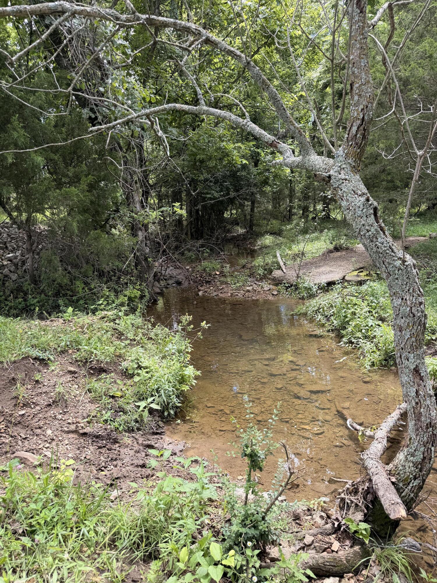 4710 State Route A Property Photo 22