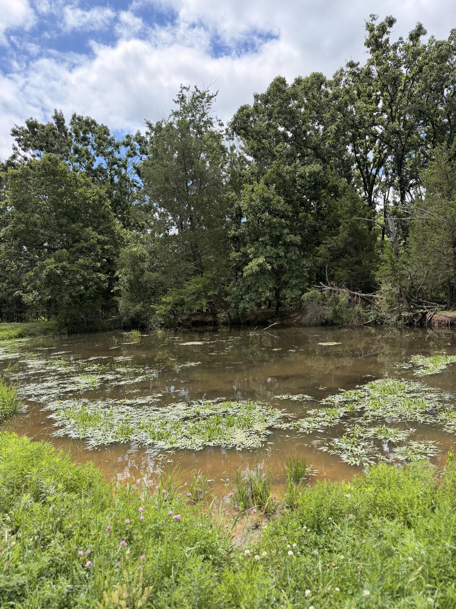 4710 State Route A Property Photo 23