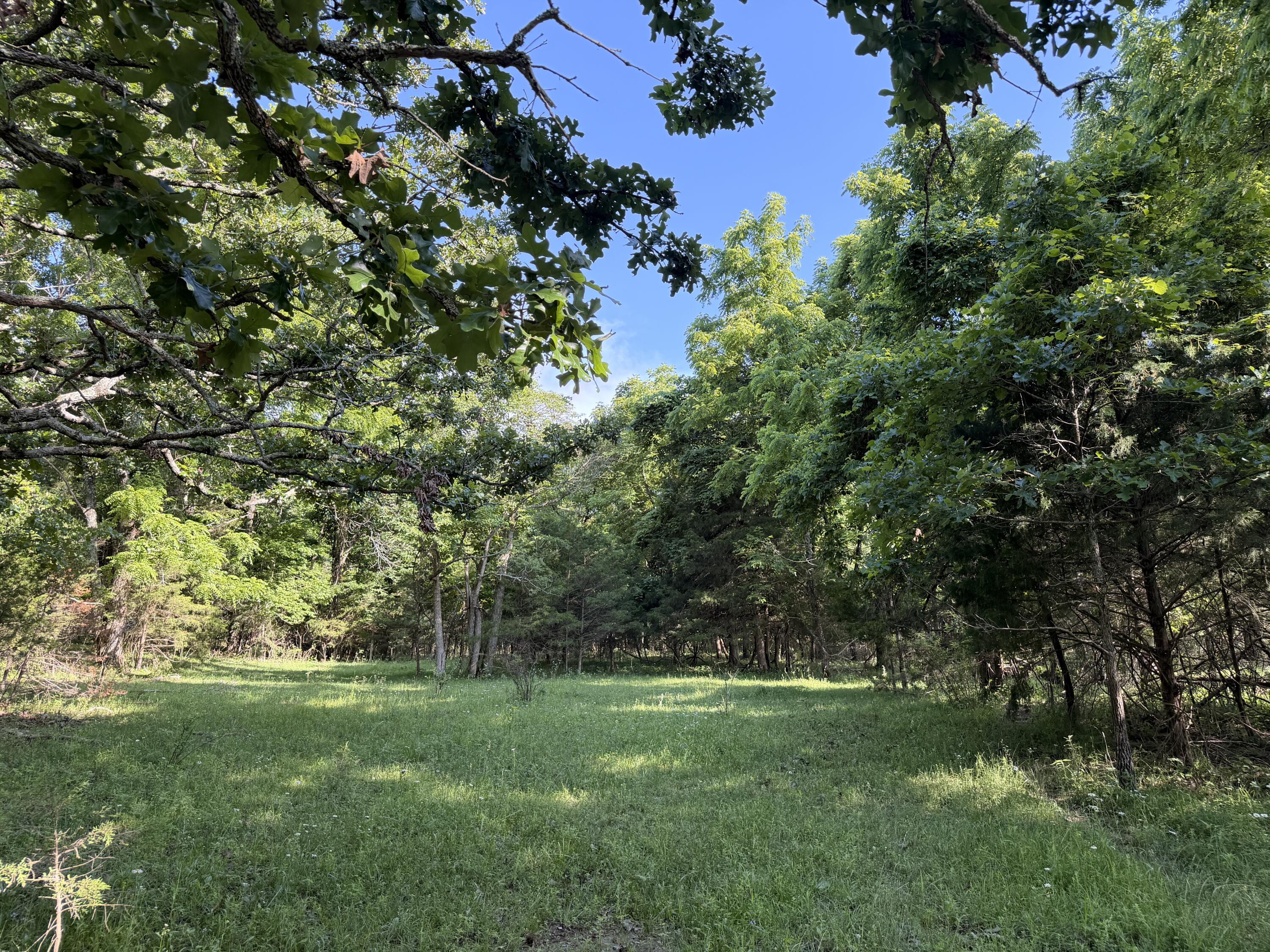 4710 State Route A Property Photo 24