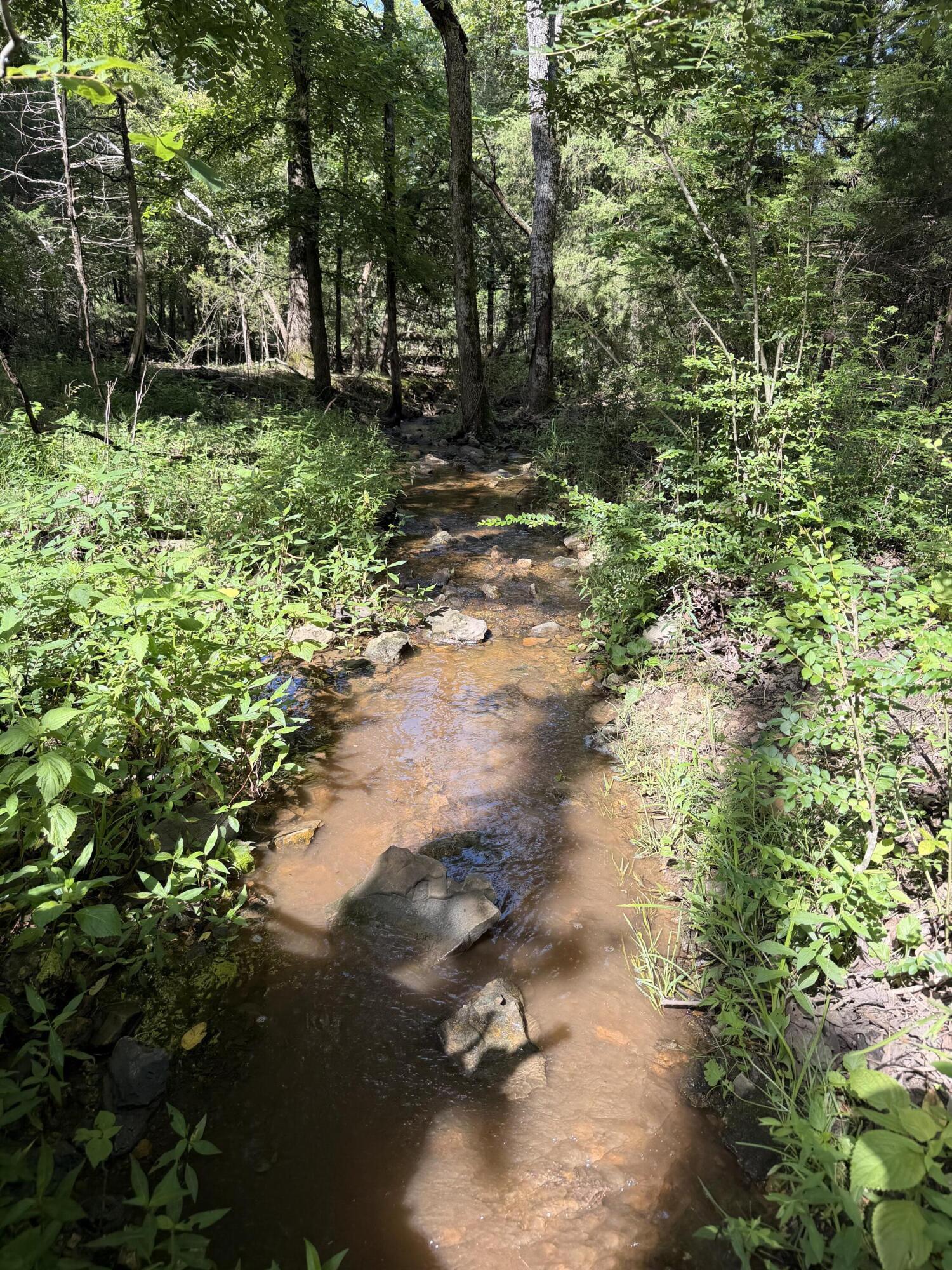 4710 State Route A Property Photo 26