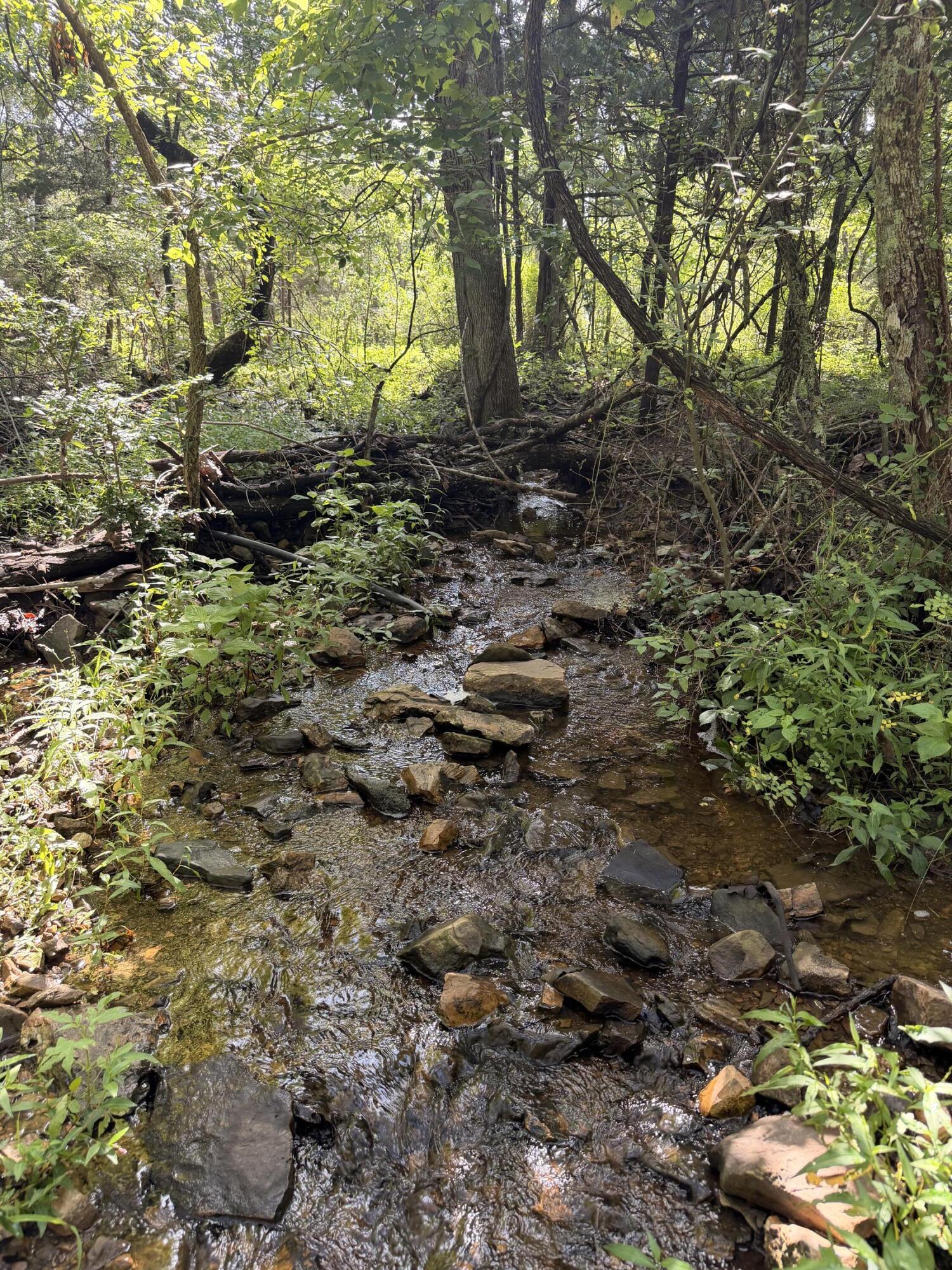 4710 State Route A Property Photo 27