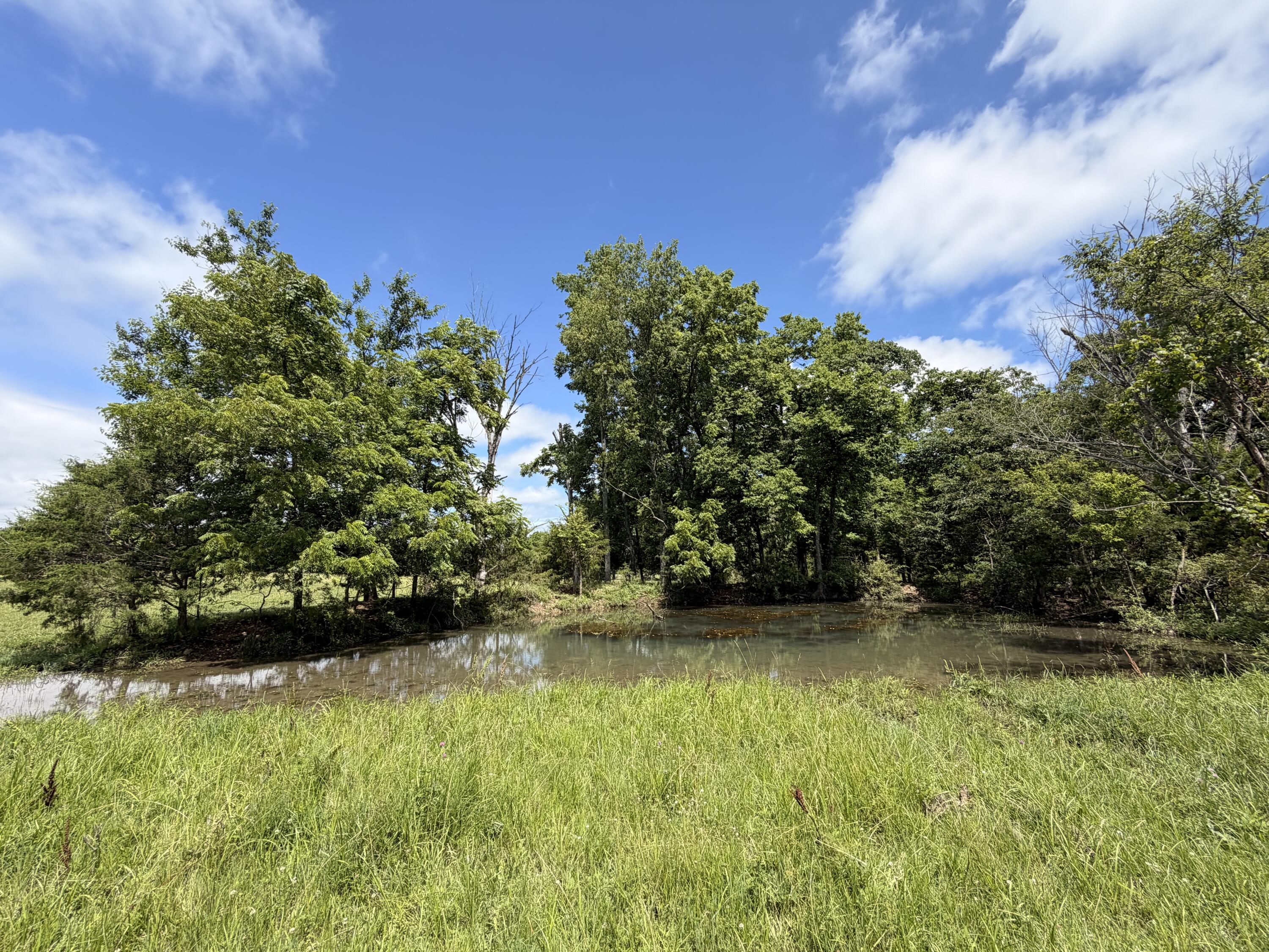 4710 State Route A Property Photo 28