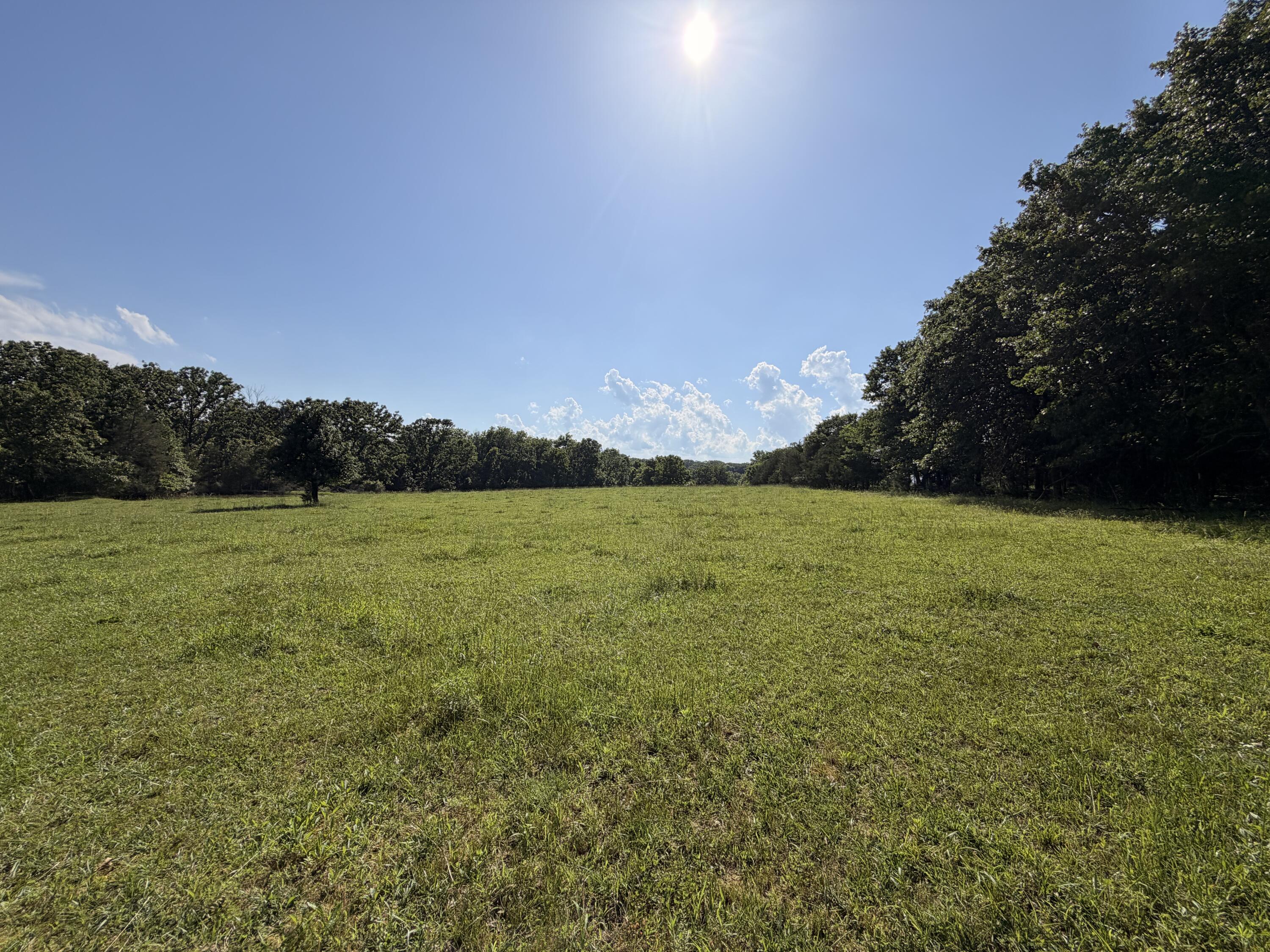 4710 State Route A Property Photo 31