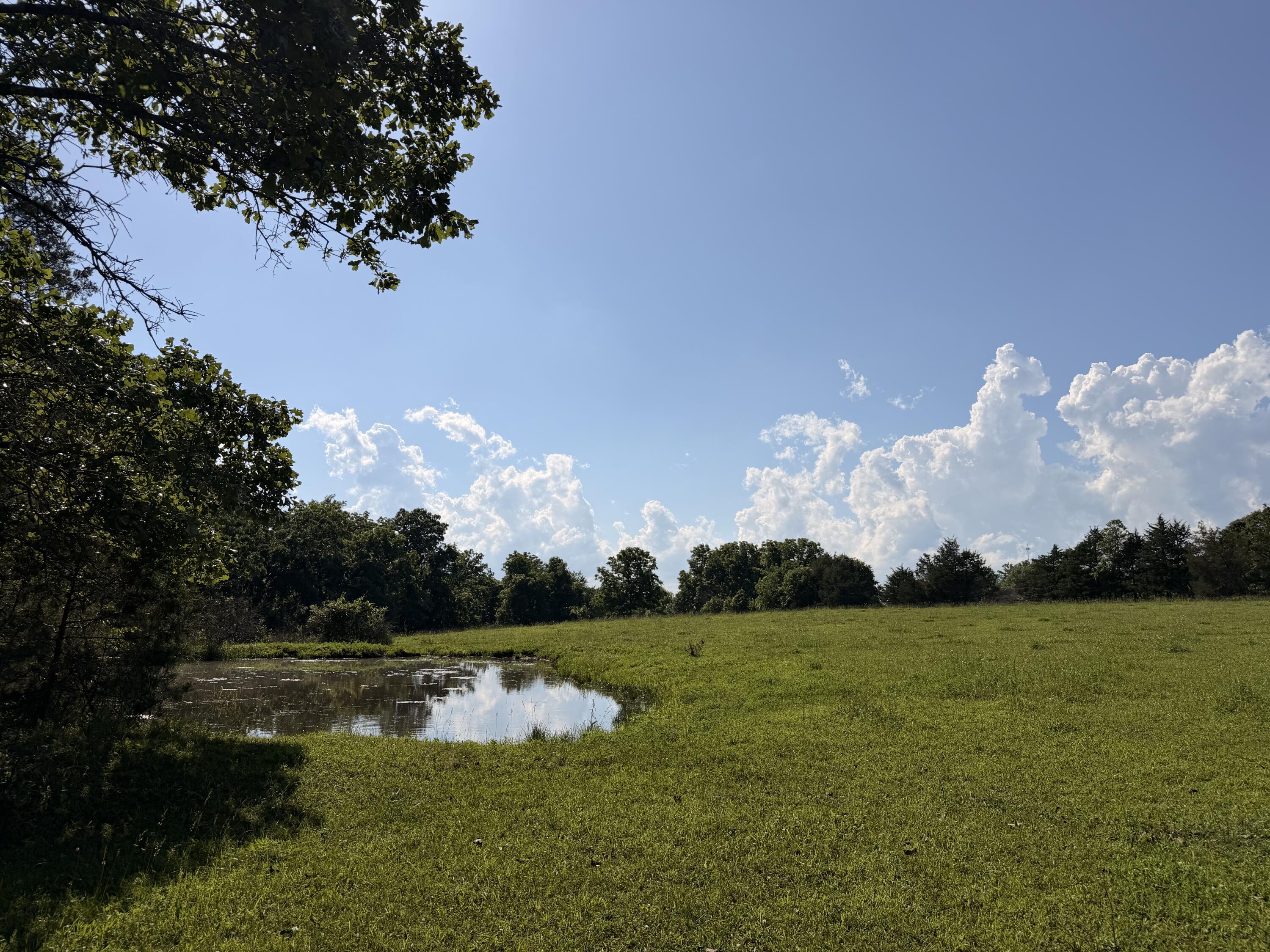 4710 State Route A Property Photo 32