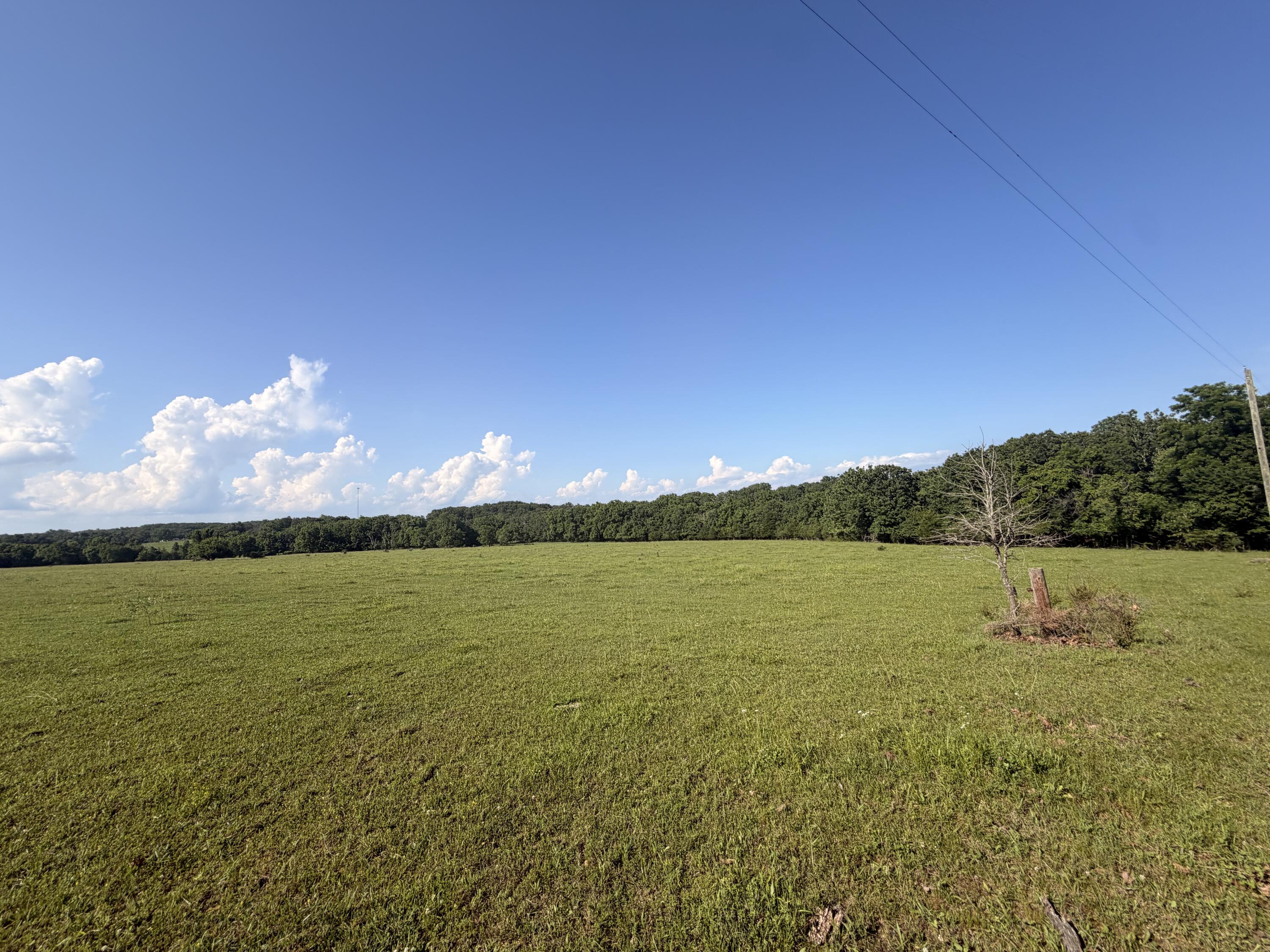 4710 State Route A Property Photo 33