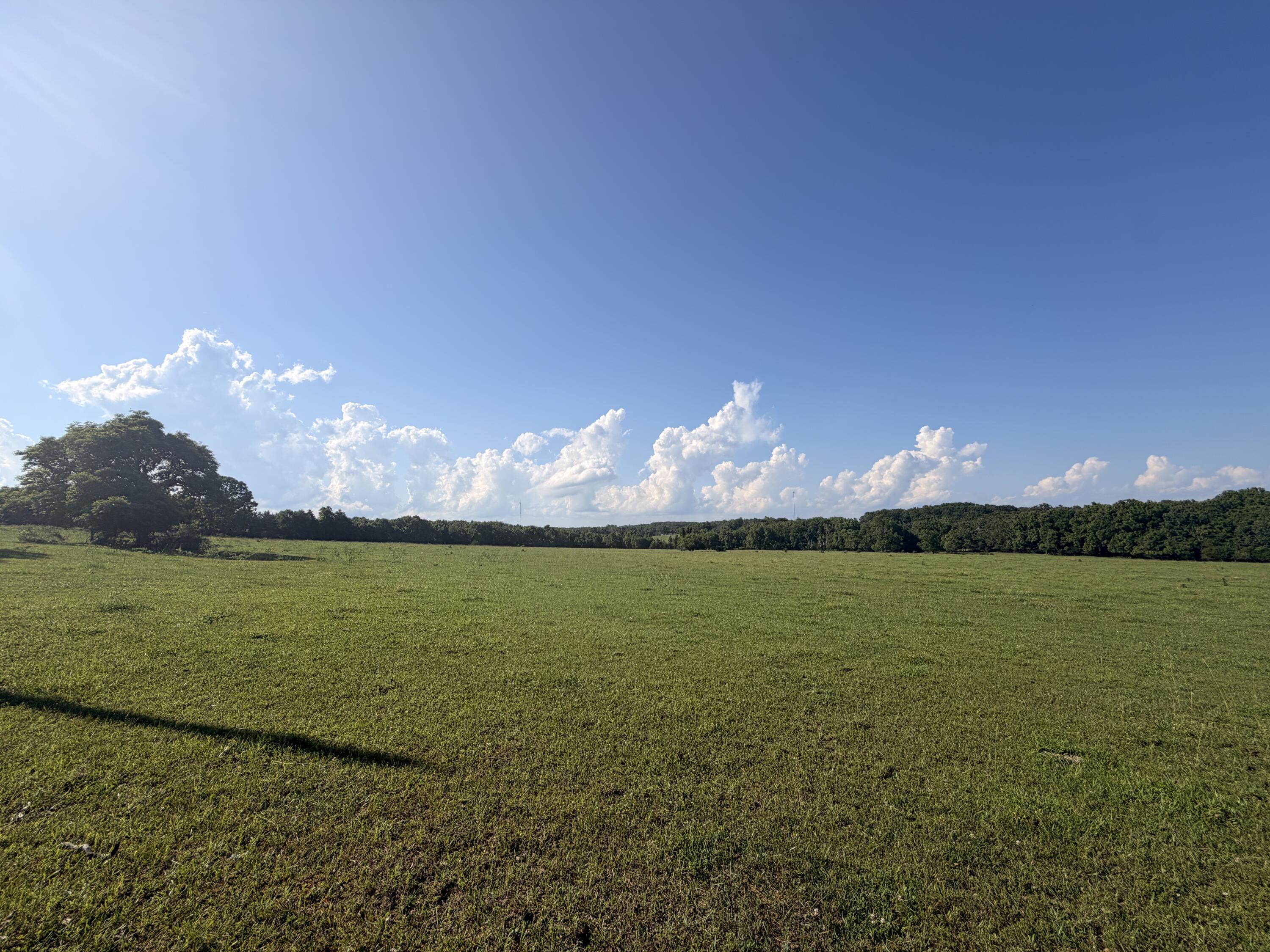 4710 State Route A Property Photo 34
