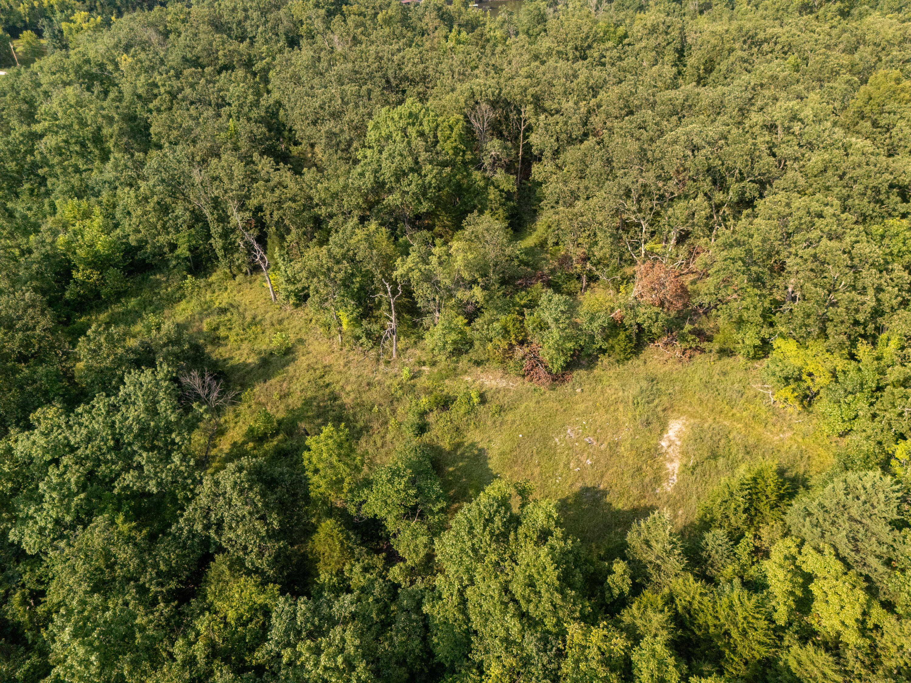 000 Sandy Road Property Photo 3