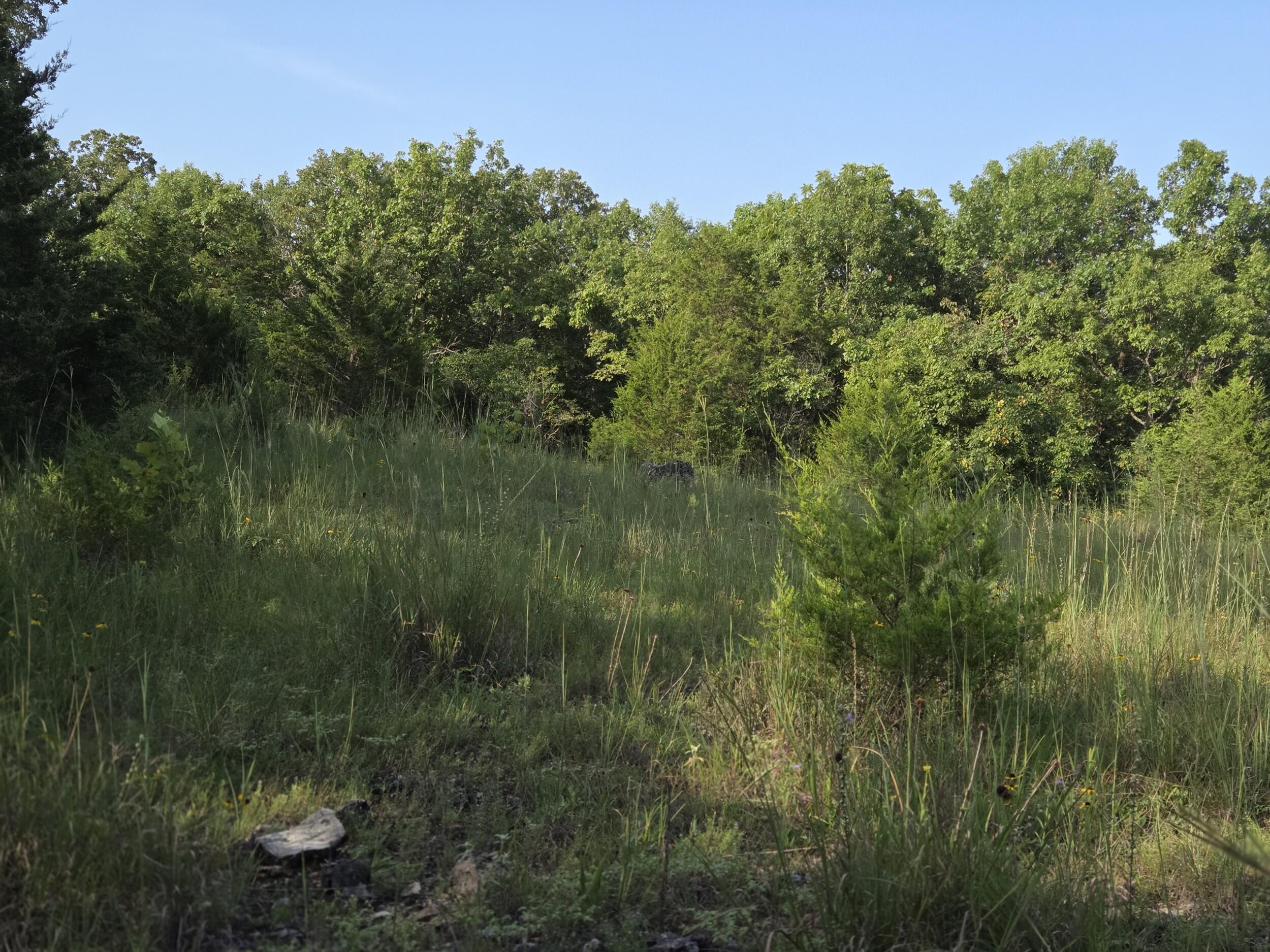 000 Sandy Road Property Photo 8