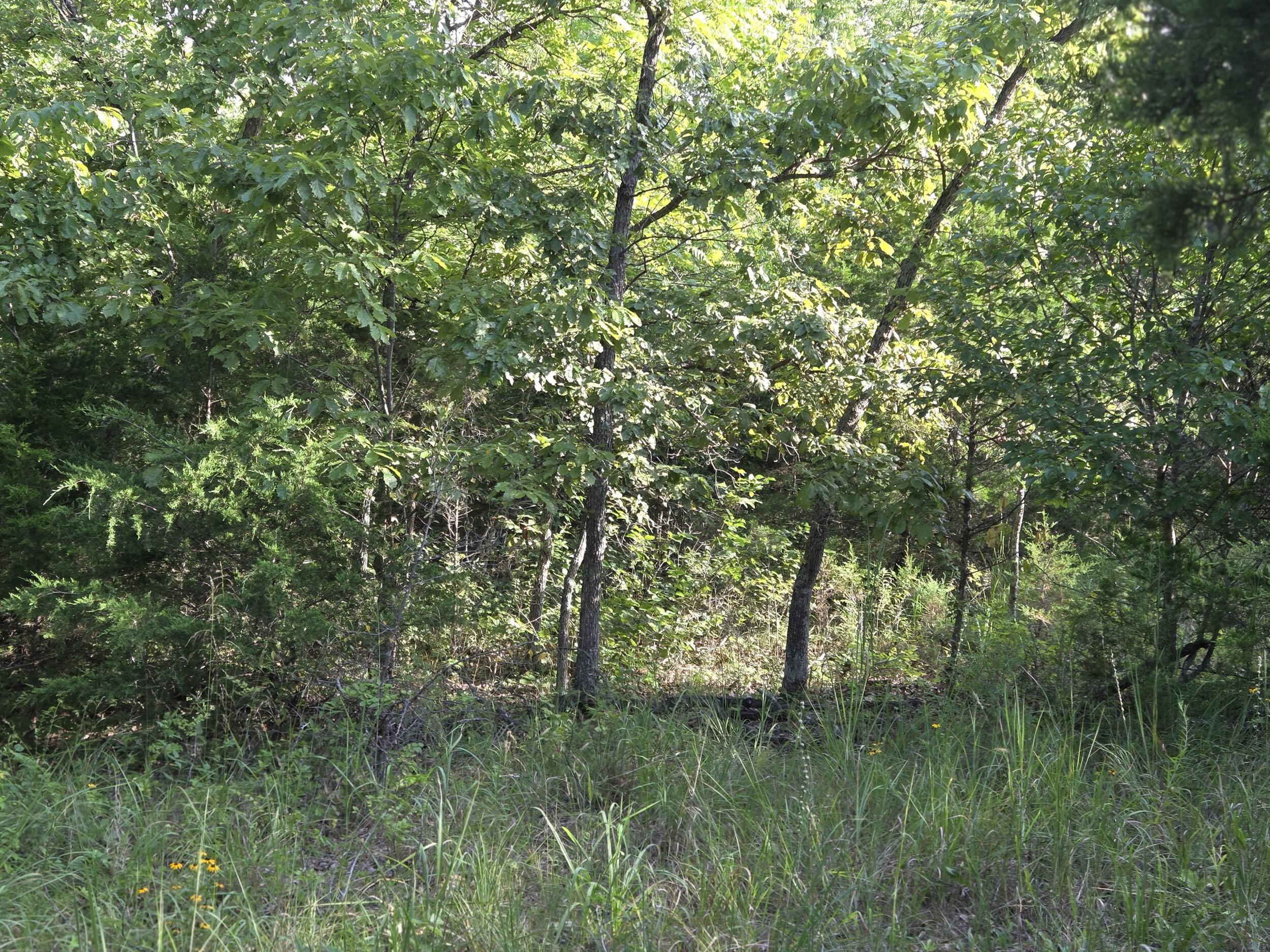 000 Sandy Road Property Photo 9