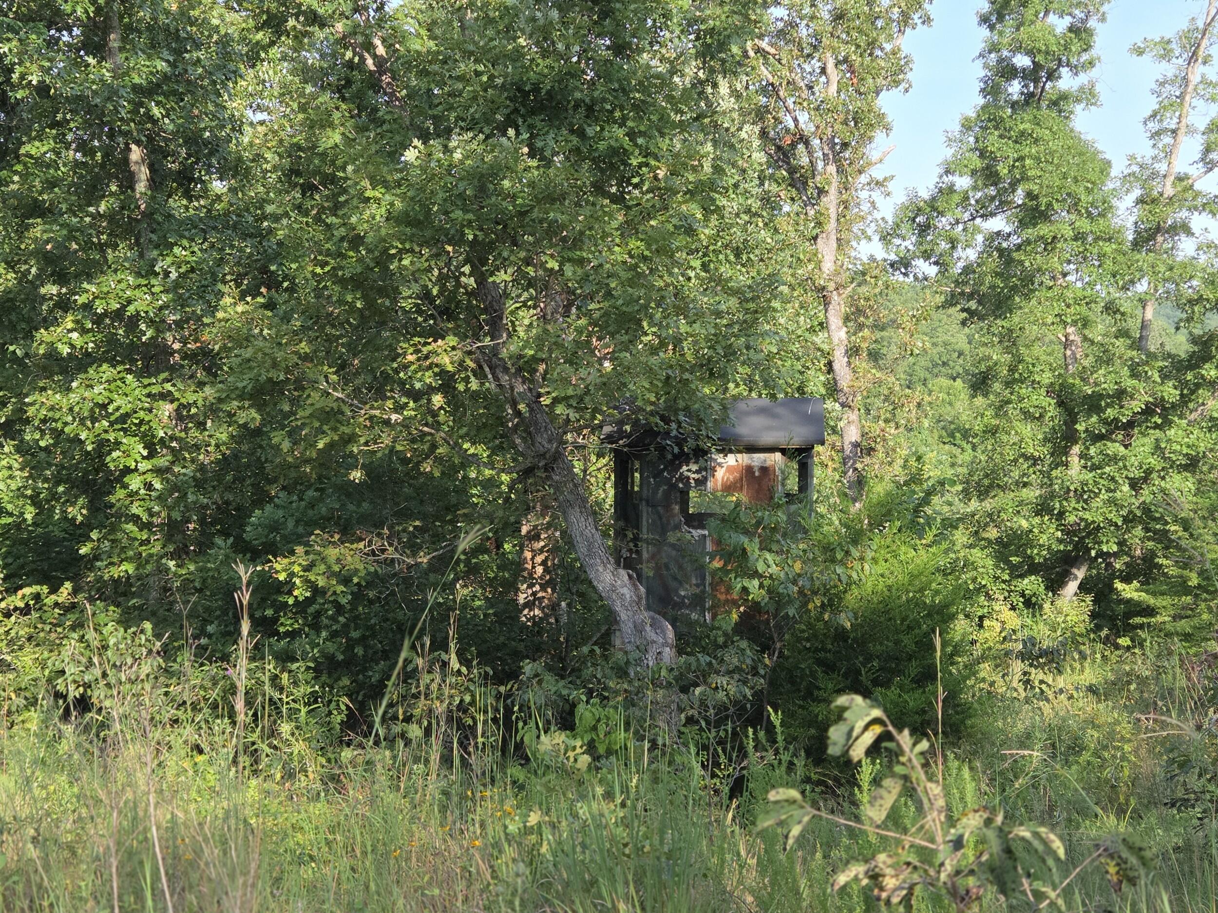 000 Sandy Road Property Photo 10