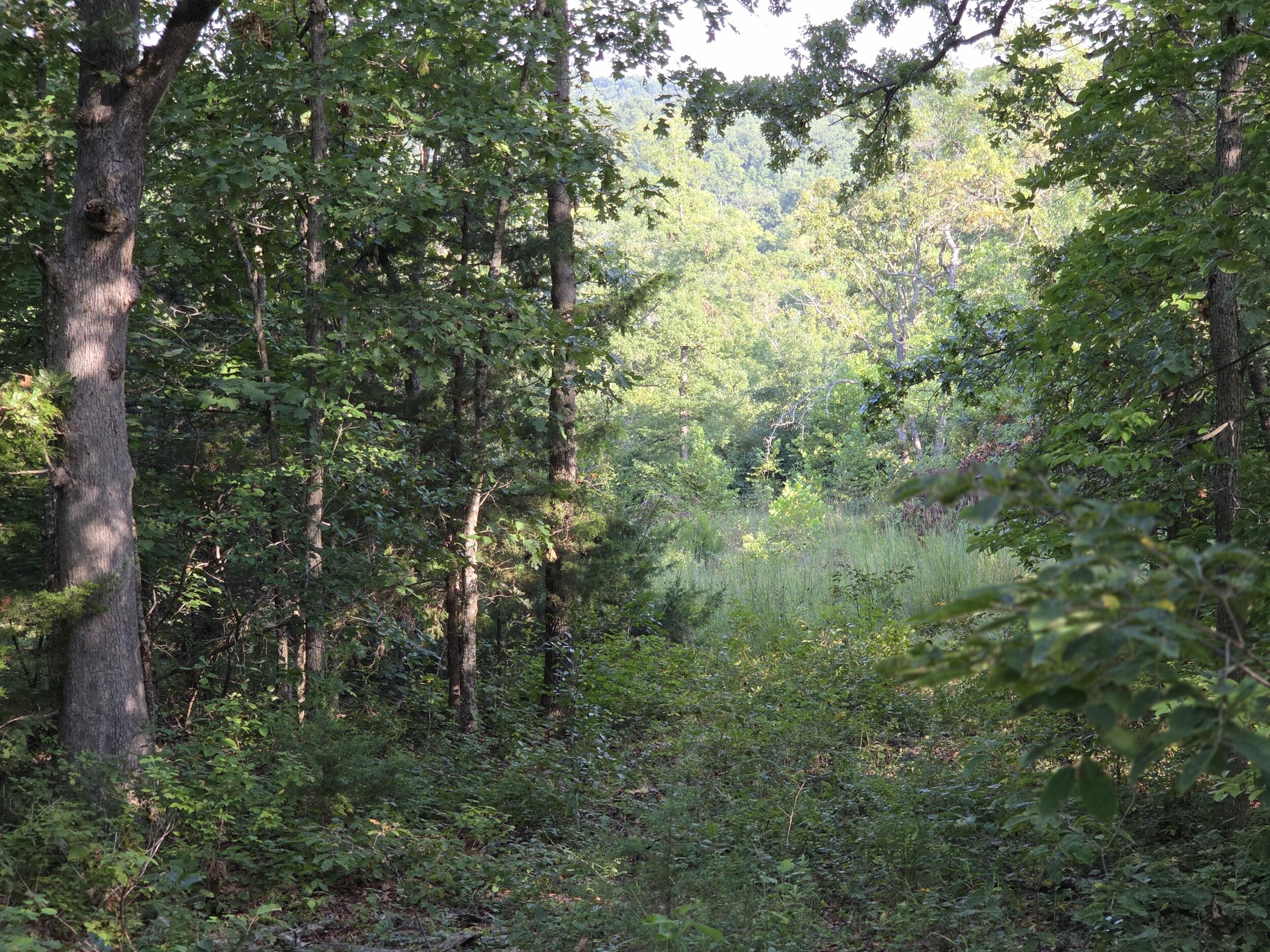 000 Sandy Road Property Photo 11