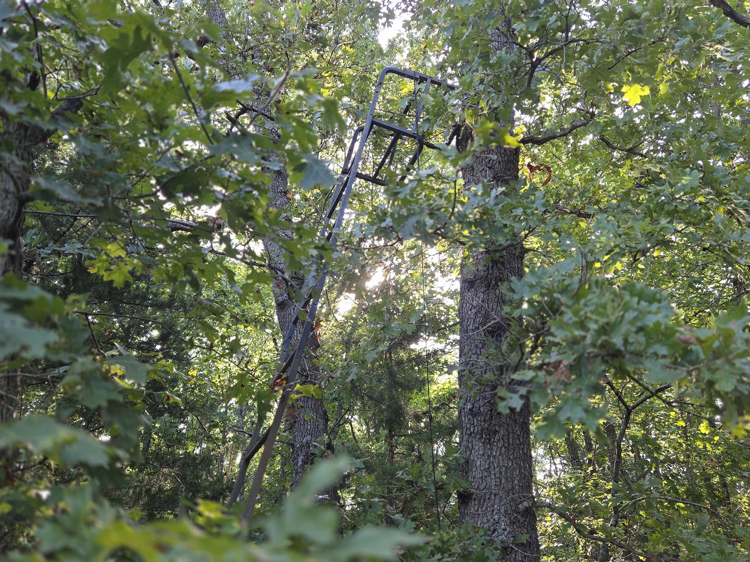 000 Sandy Road Property Photo 12