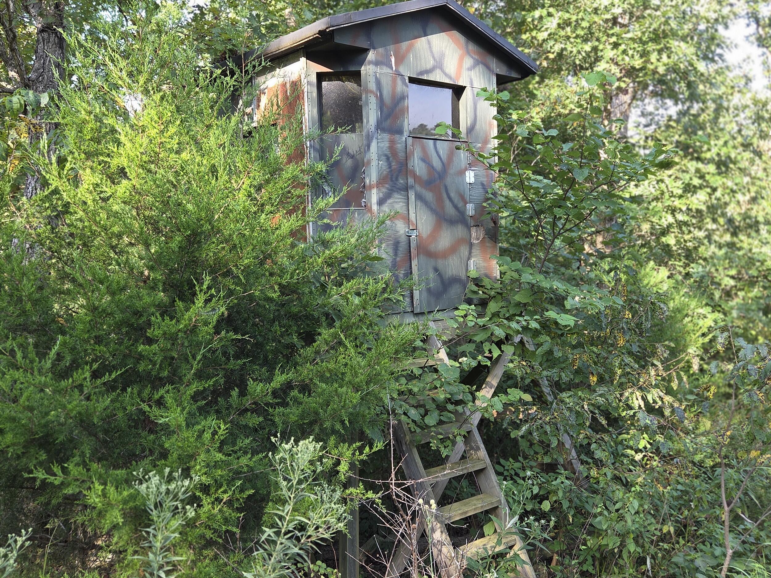000 Sandy Road Property Photo 13