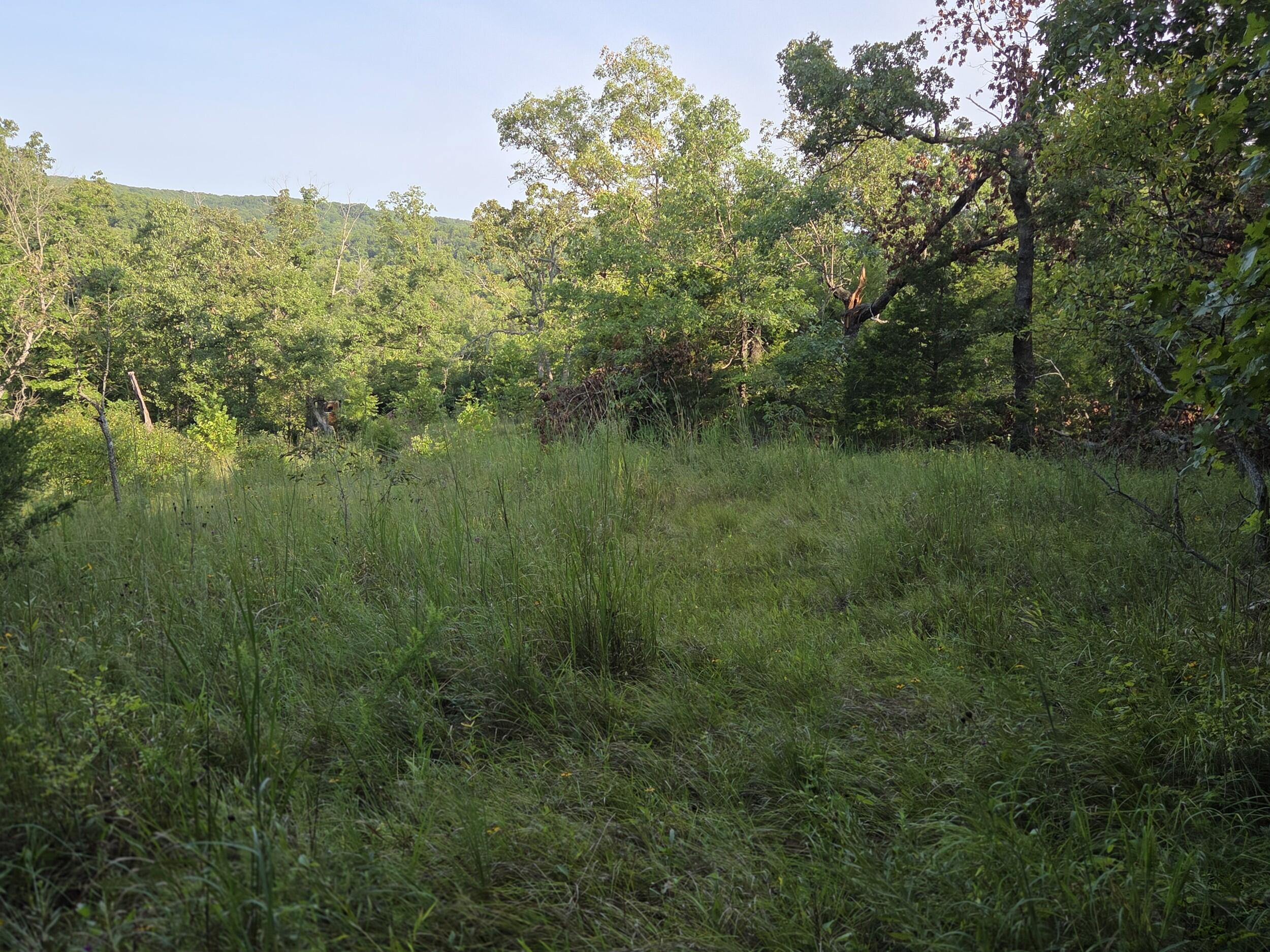 000 Sandy Road Property Photo 27