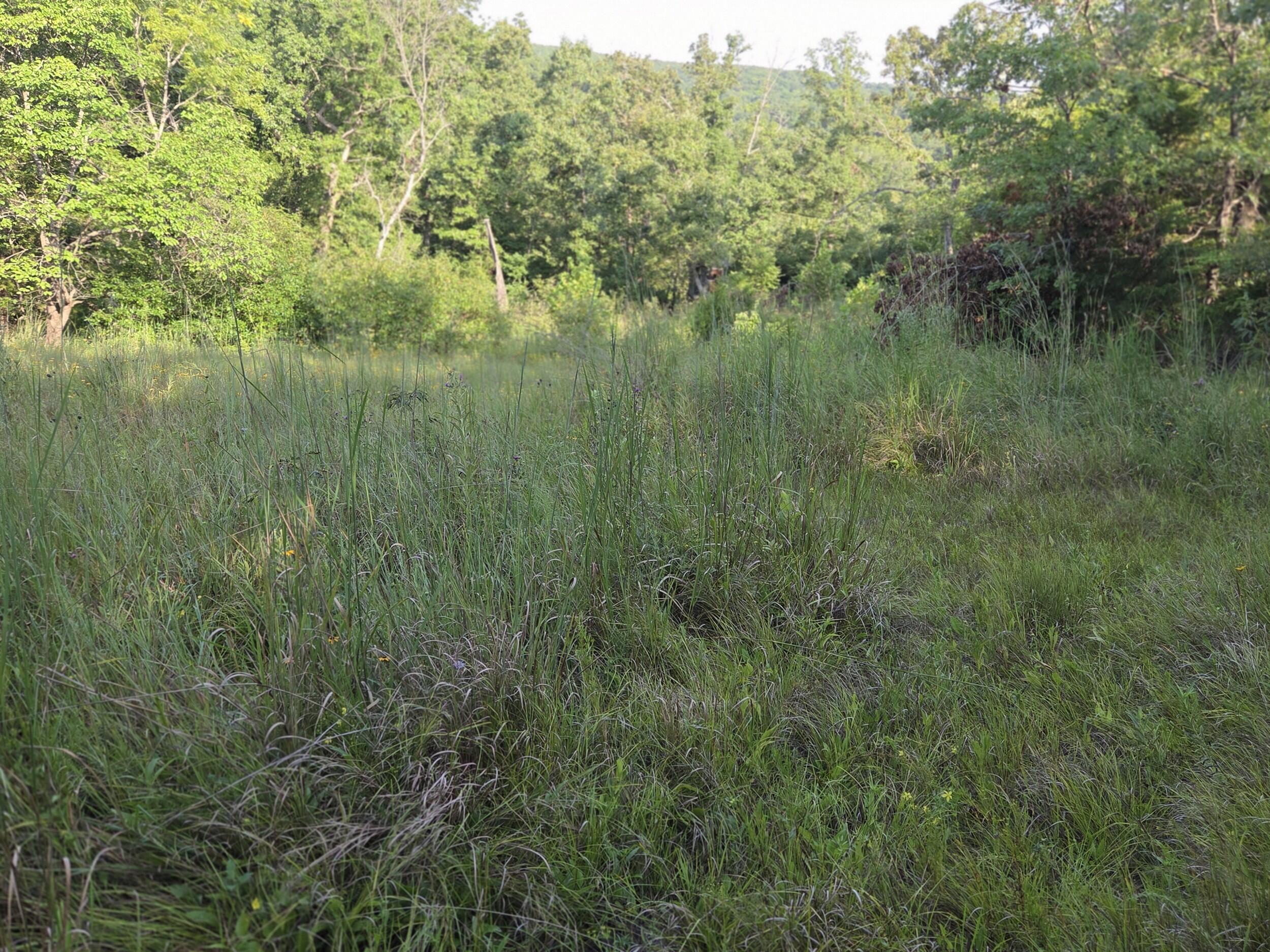 000 Sandy Road Property Photo 28