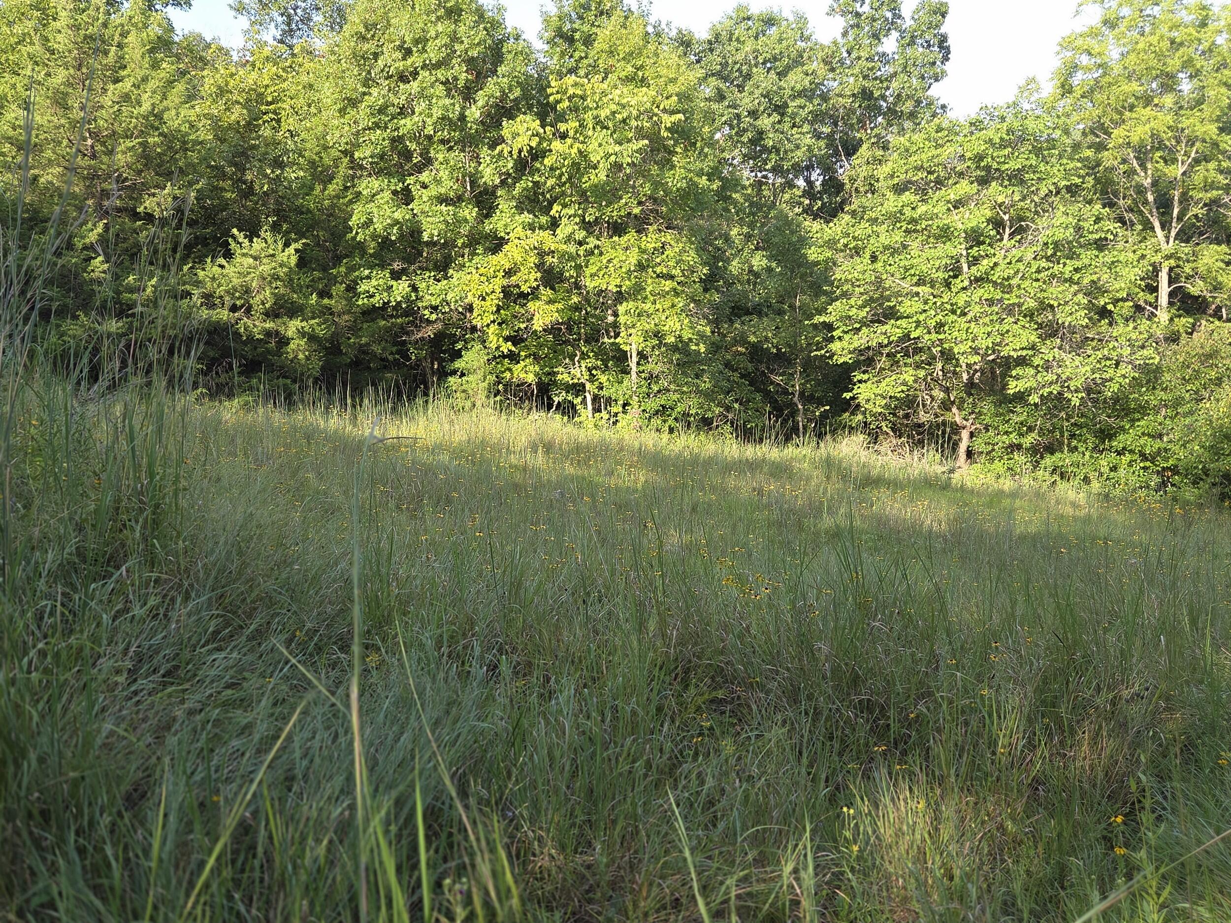000 Sandy Road Property Photo 29