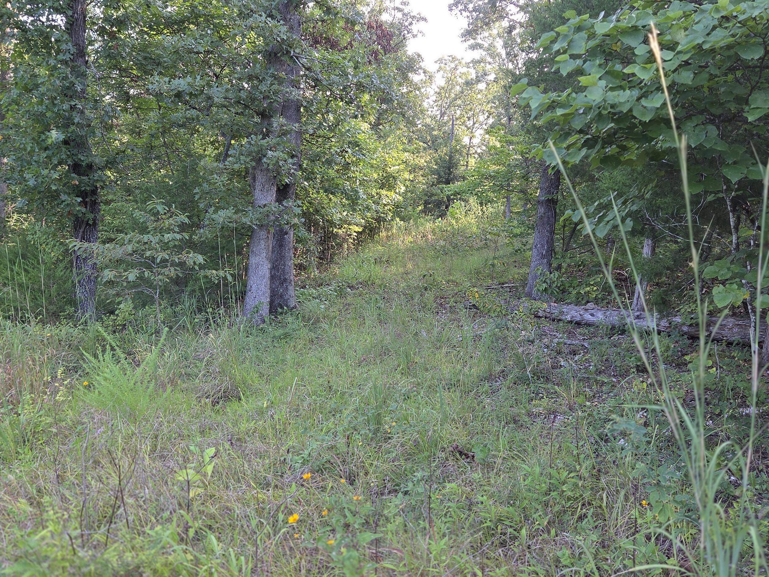 000 Sandy Road Property Photo 30