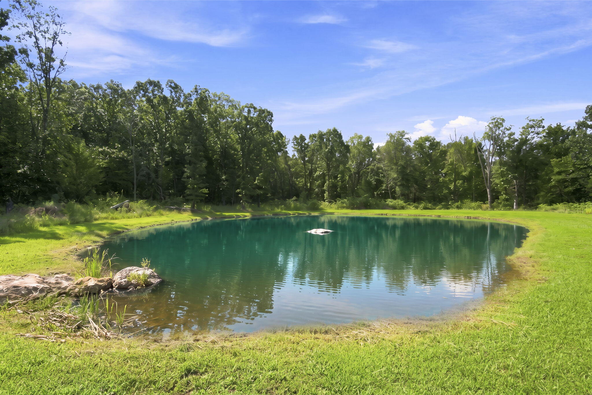 1295 Spring Valley Property Photo 38