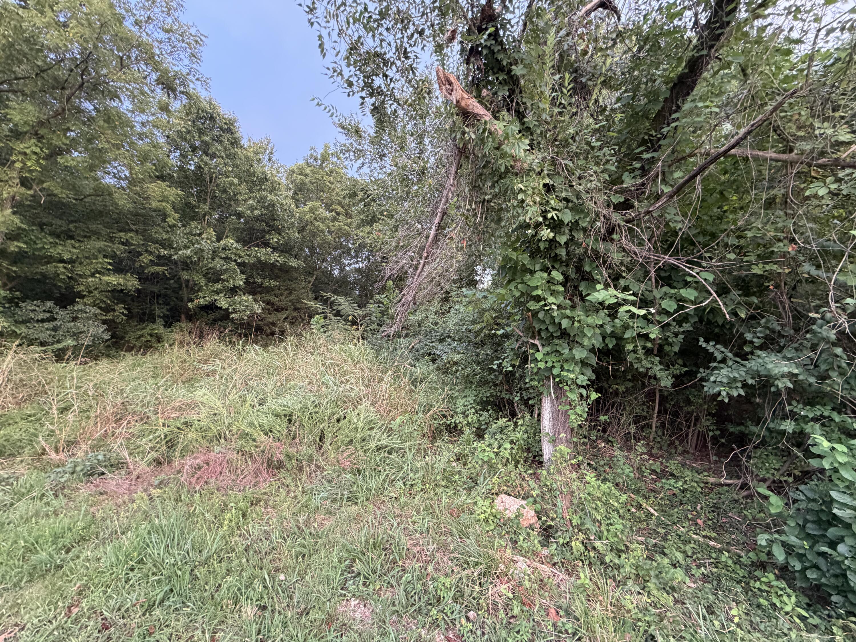 000 Horseshoe Lane Property Photo 4