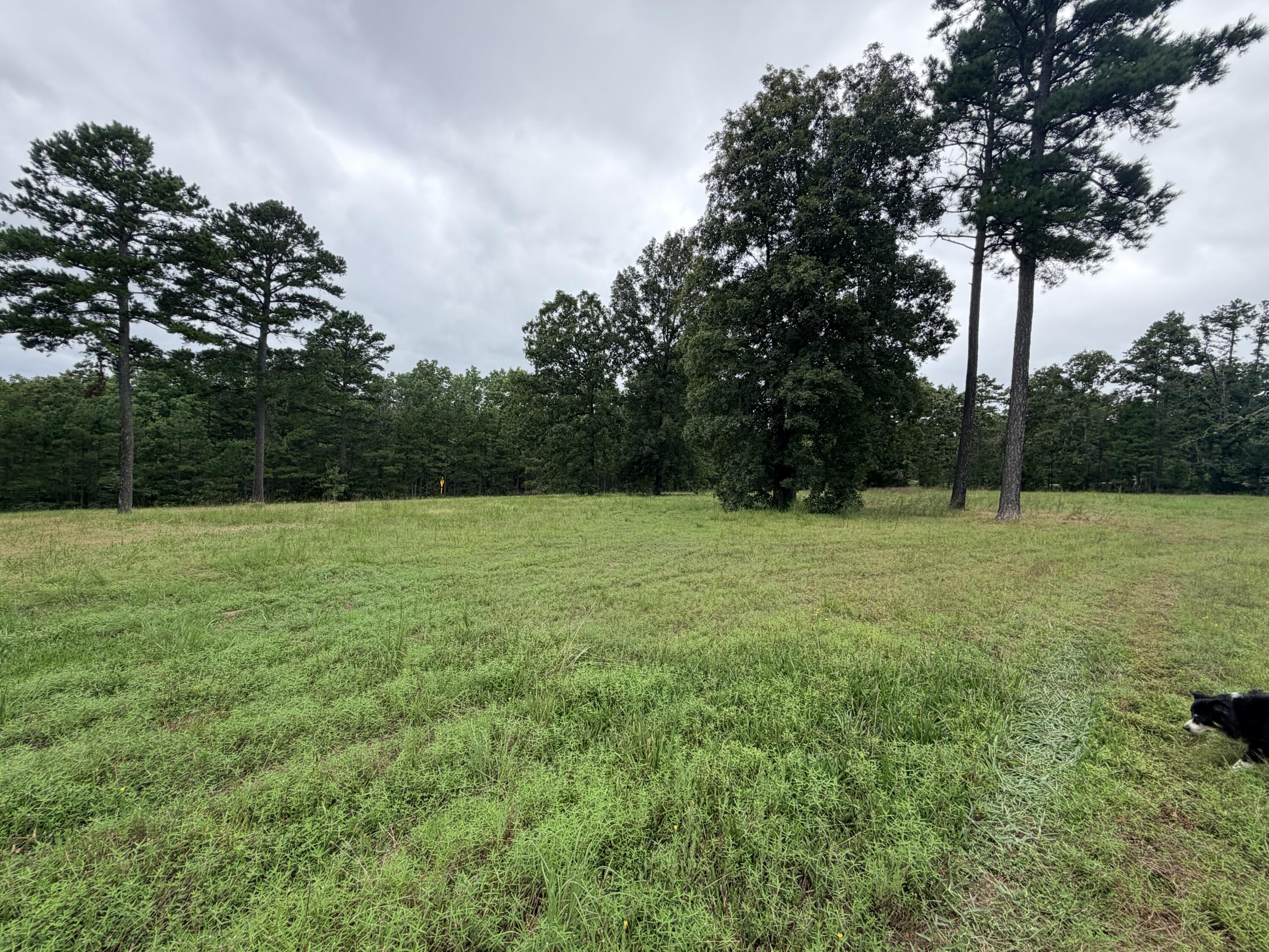 5938 Cr-585 Property Photo 9