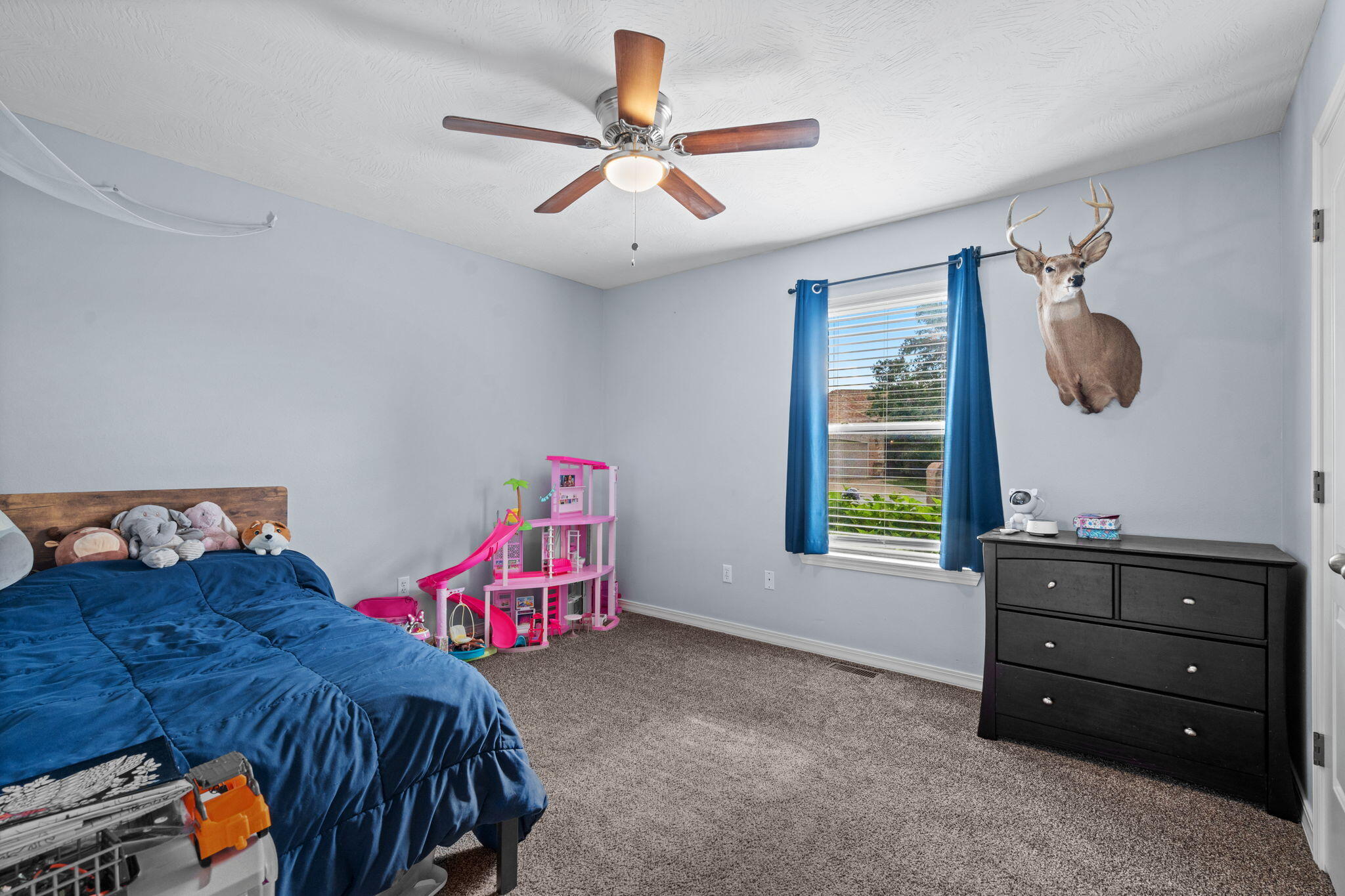 424 Columbine Street Property Photo 21
