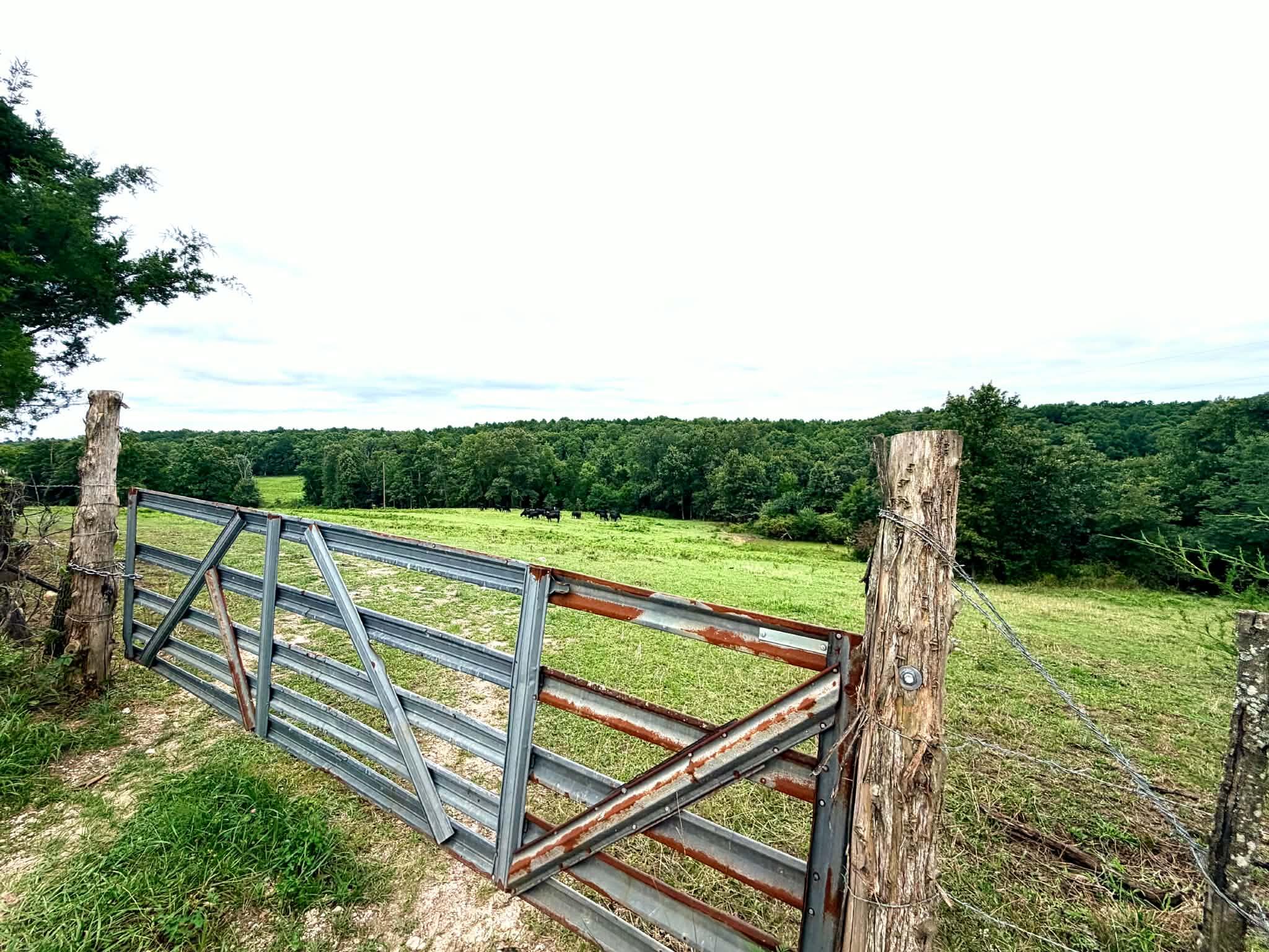 000 County Road 585 Property Photo 1