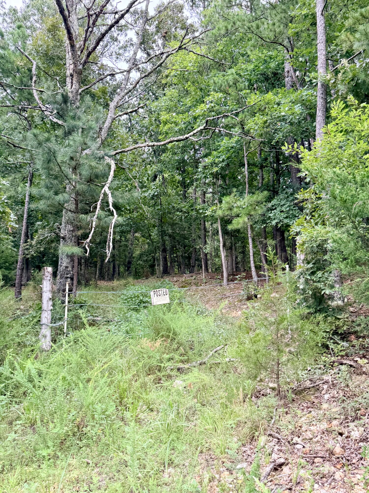 000 County Road 585 Property Photo 14