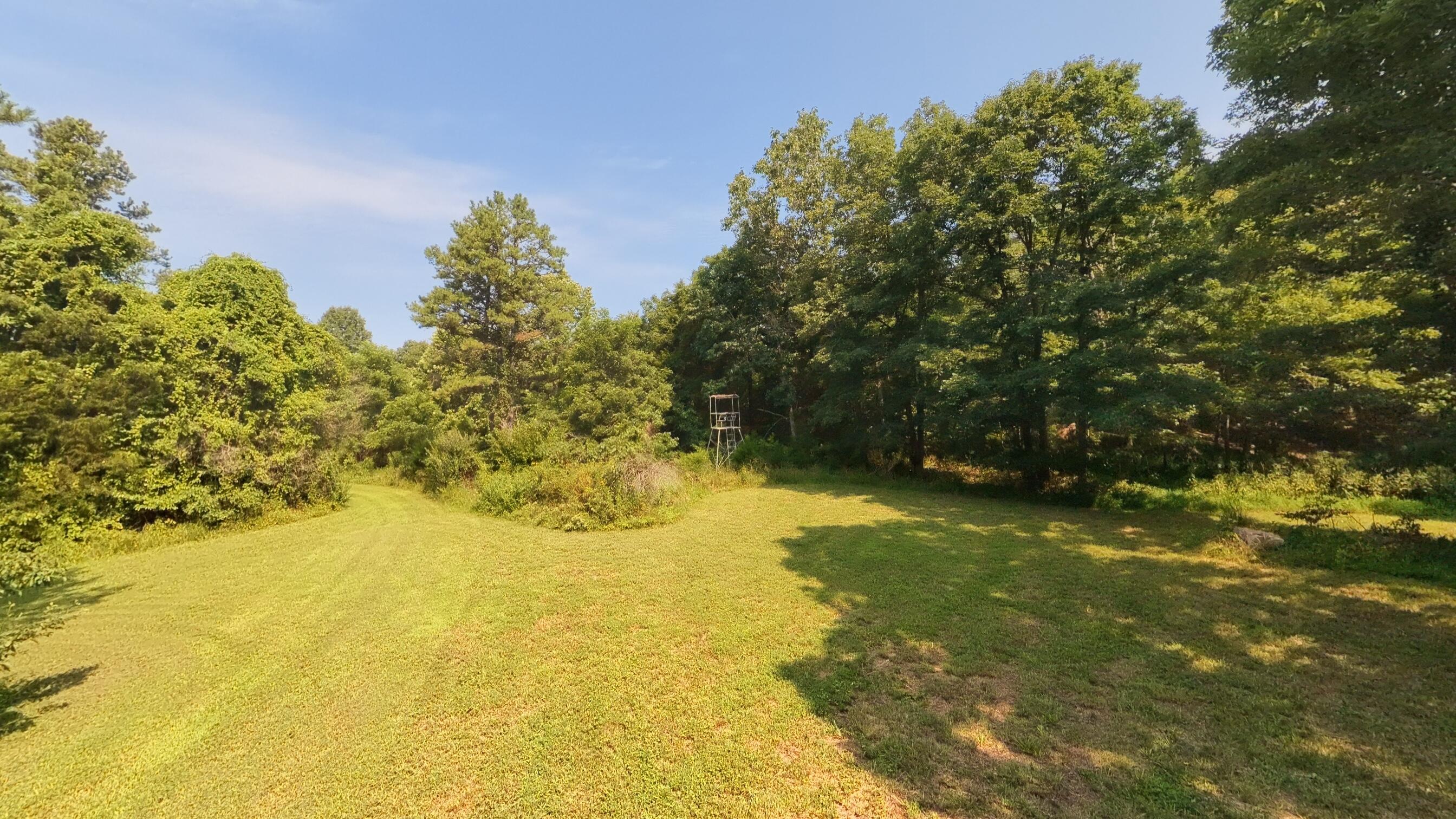 000 County Road 2661 Property Photo 12