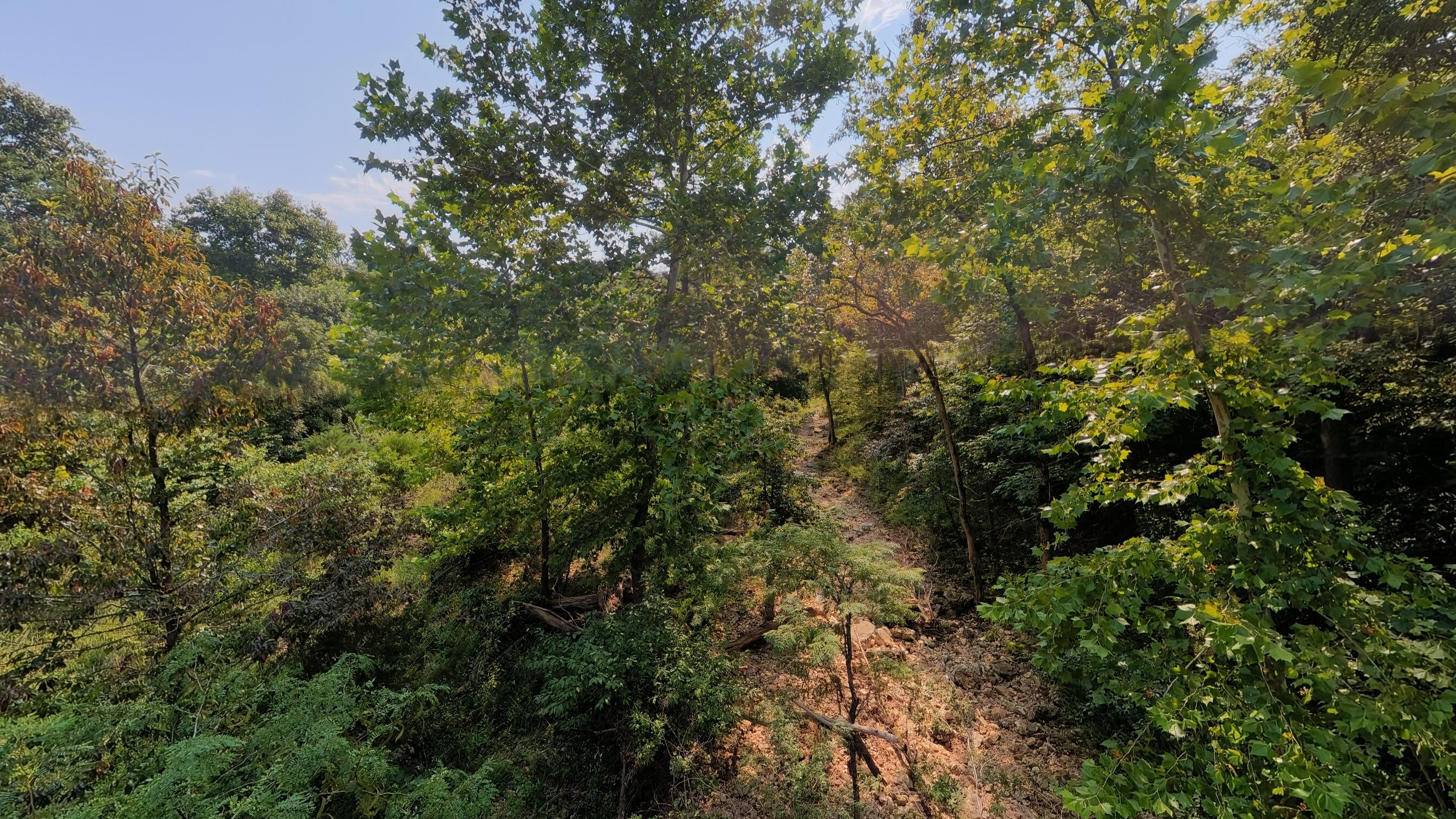 000 County Road 2661 Property Photo 13