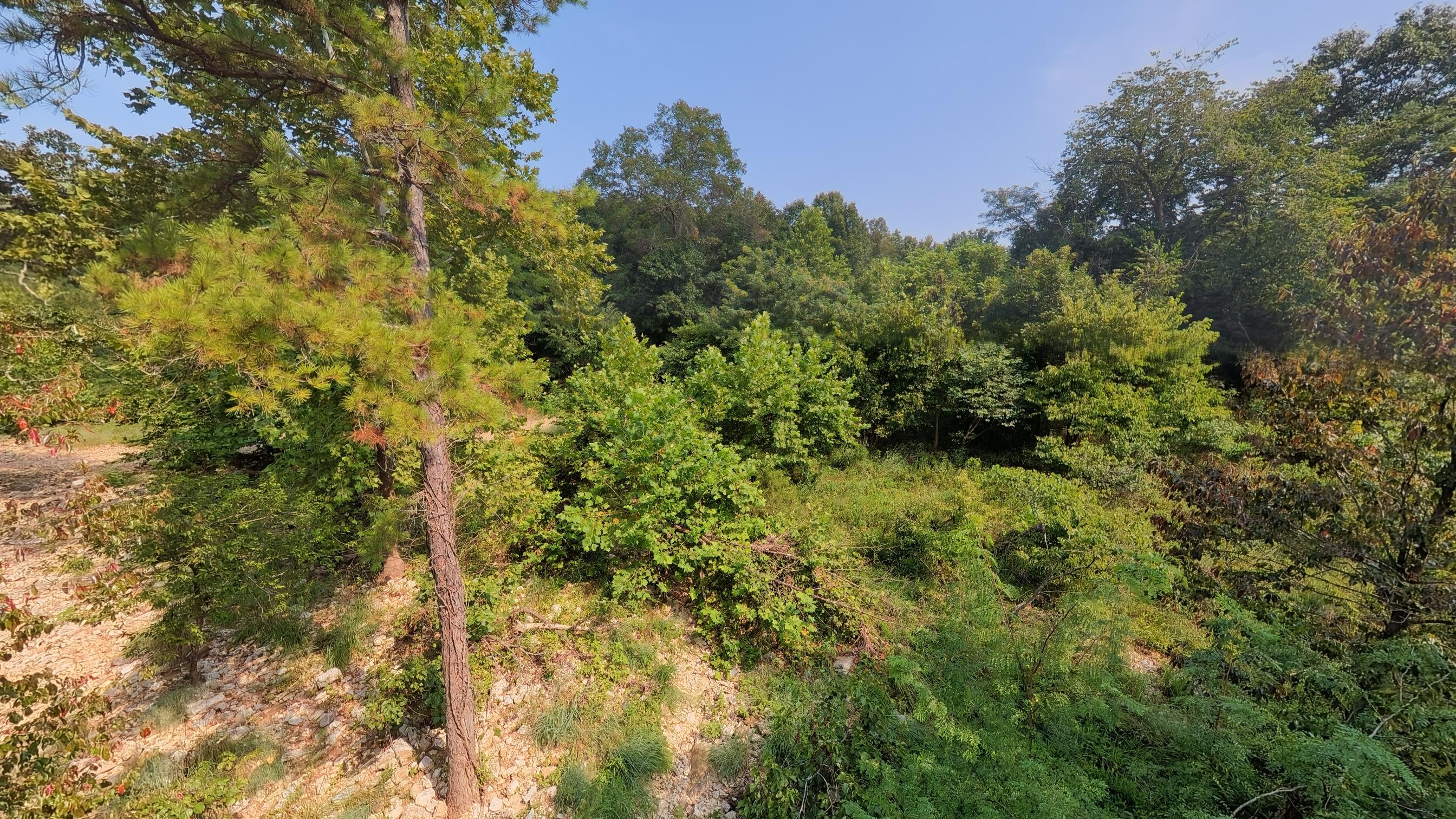 000 County Road 2661 Property Photo 14